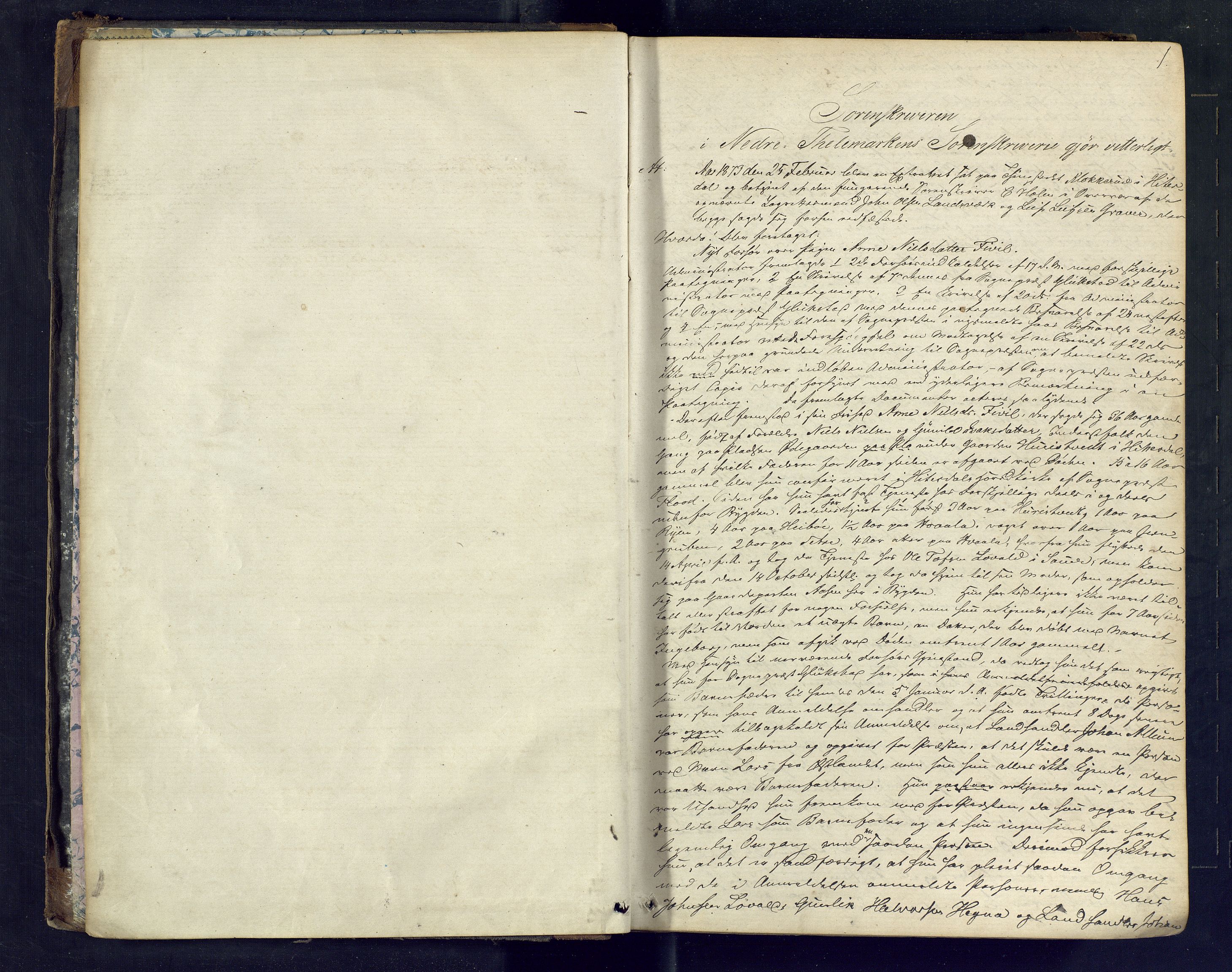 Nedre Telemark sorenskriveri, AV/SAKO-A-135/F/Fc/Fca/L0017: Ekstrarettsprotokoll, 1873-1877, s. 1