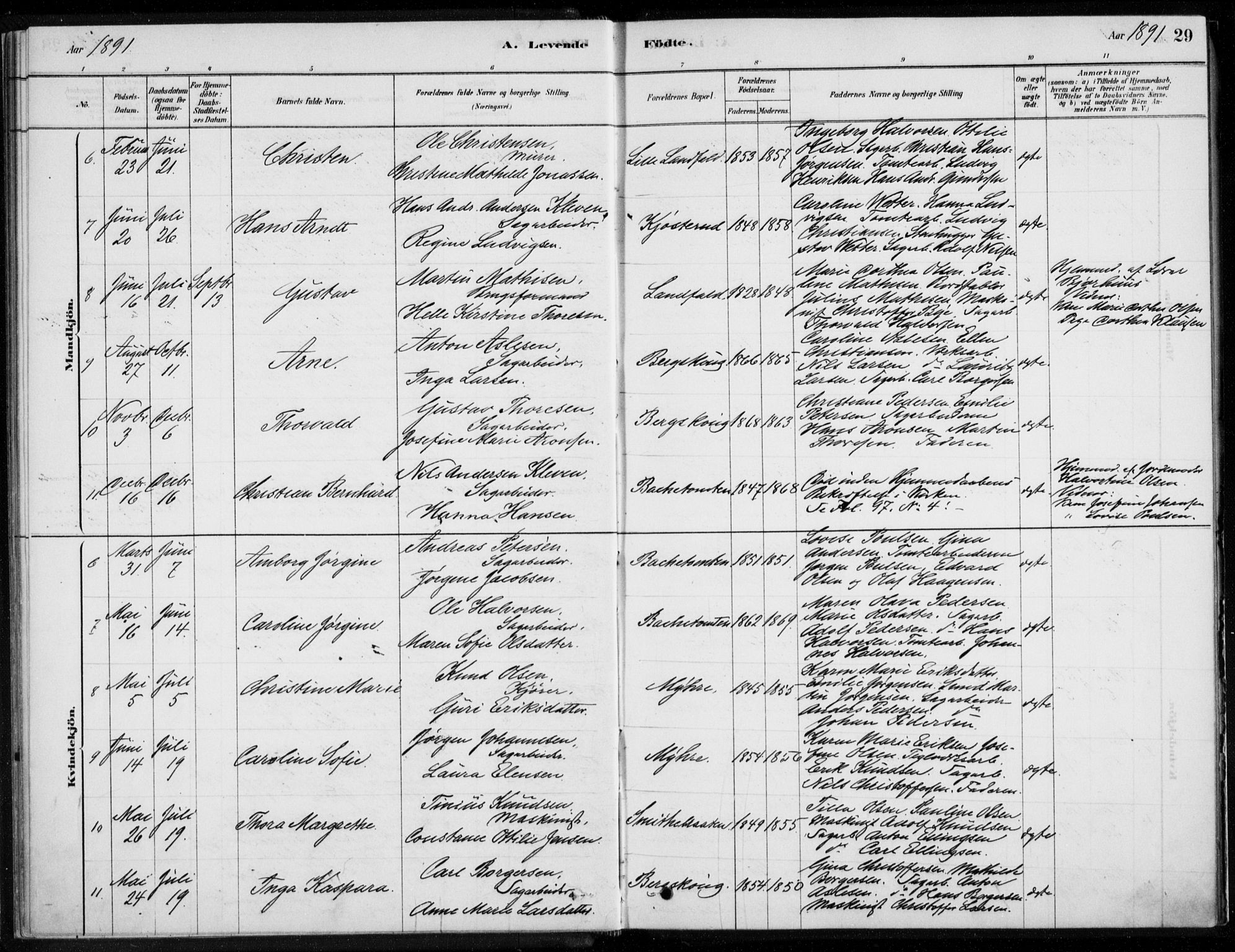 Åssiden kirkebøker, AV/SAKO-A-251/F/Fa/L0001: Ministerialbok nr. 1, 1878-1904, s. 29