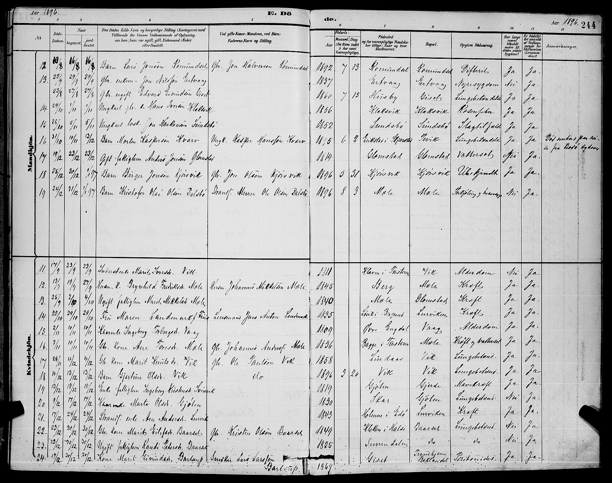 Ministerialprotokoller, klokkerbøker og fødselsregistre - Møre og Romsdal, AV/SAT-A-1454/578/L0909: Klokkerbok nr. 578C02, 1882-1900, s. 244