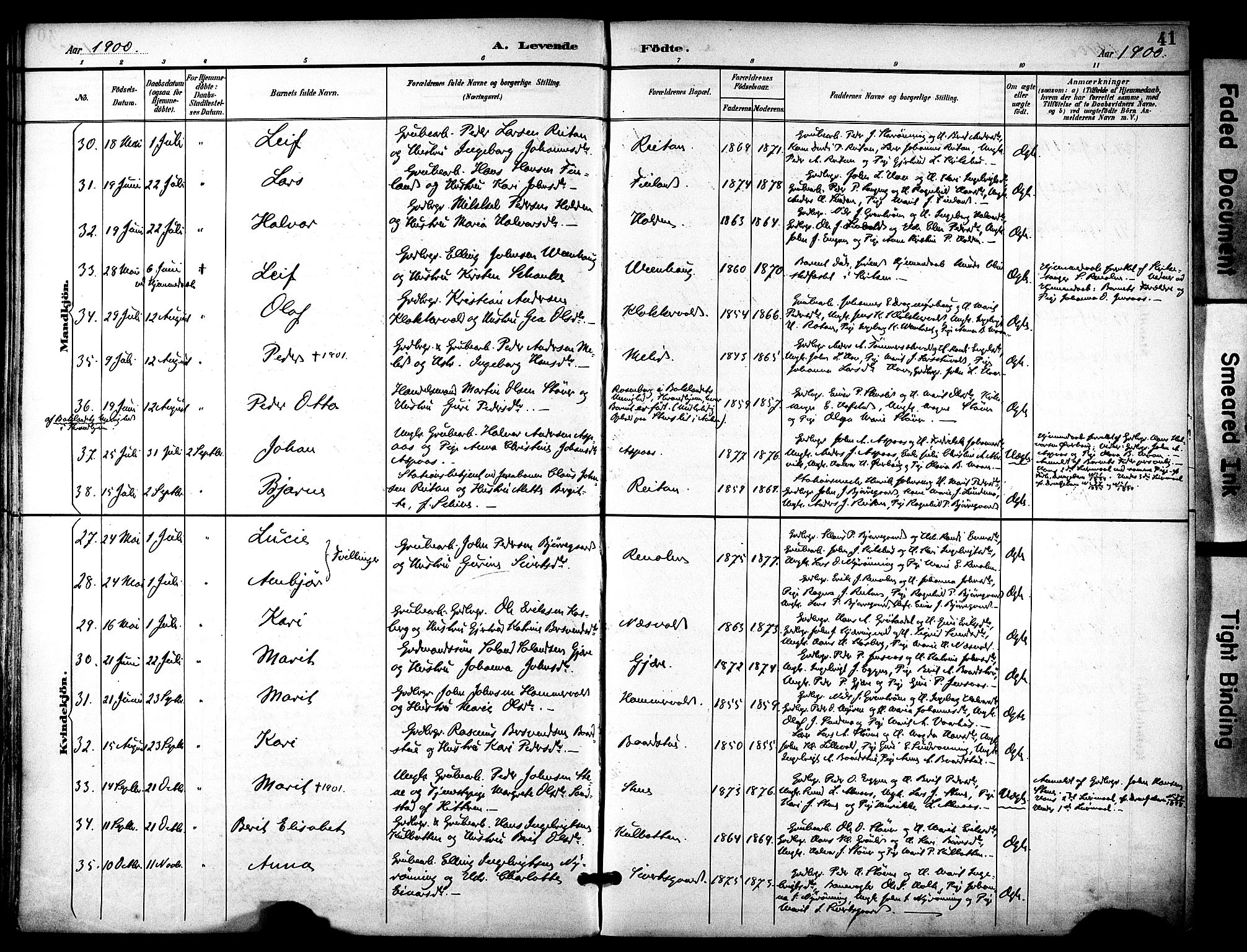 Ministerialprotokoller, klokkerbøker og fødselsregistre - Sør-Trøndelag, AV/SAT-A-1456/686/L0984: Ministerialbok nr. 686A02, 1891-1906, s. 41
