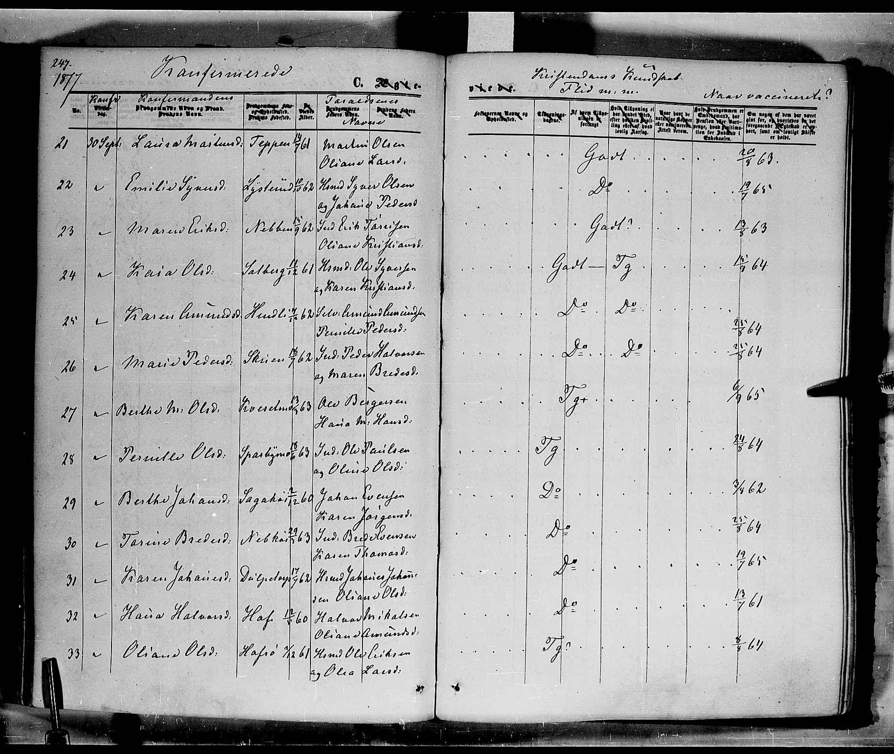 Hof prestekontor, AV/SAH-PREST-038/H/Ha/Haa/L0009: Ministerialbok nr. 9, 1862-1877, s. 247