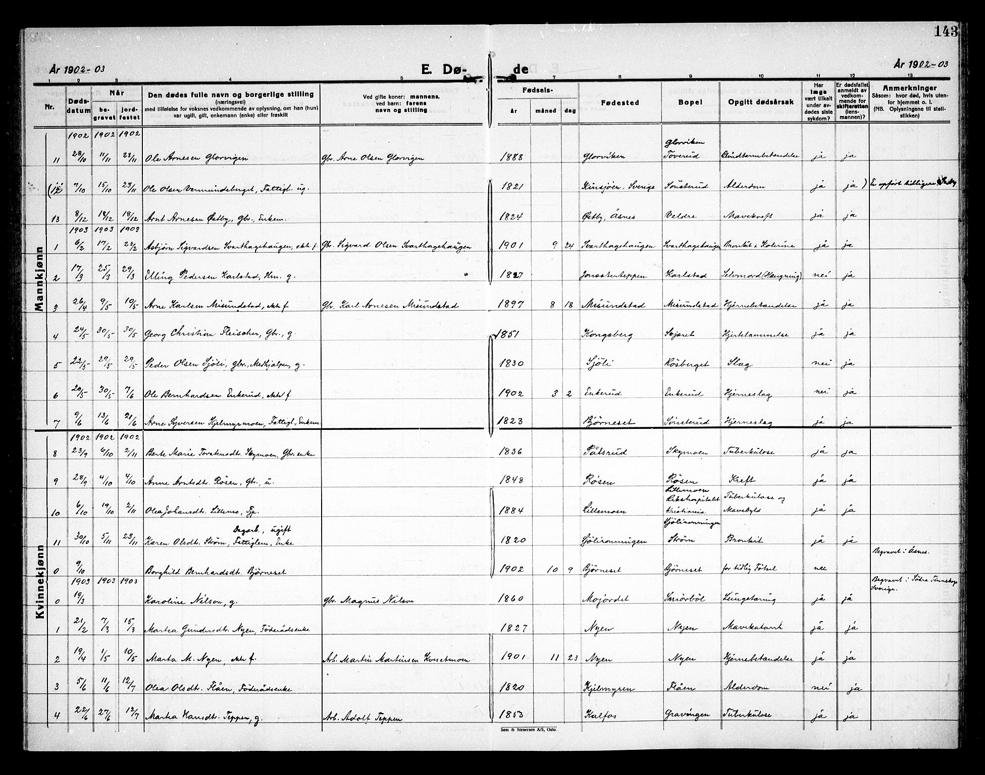 Åsnes prestekontor, SAH/PREST-042/H/Ha/Haa/L0000D: Ministerialbok nr. 0B, 1890-1929, s. 143