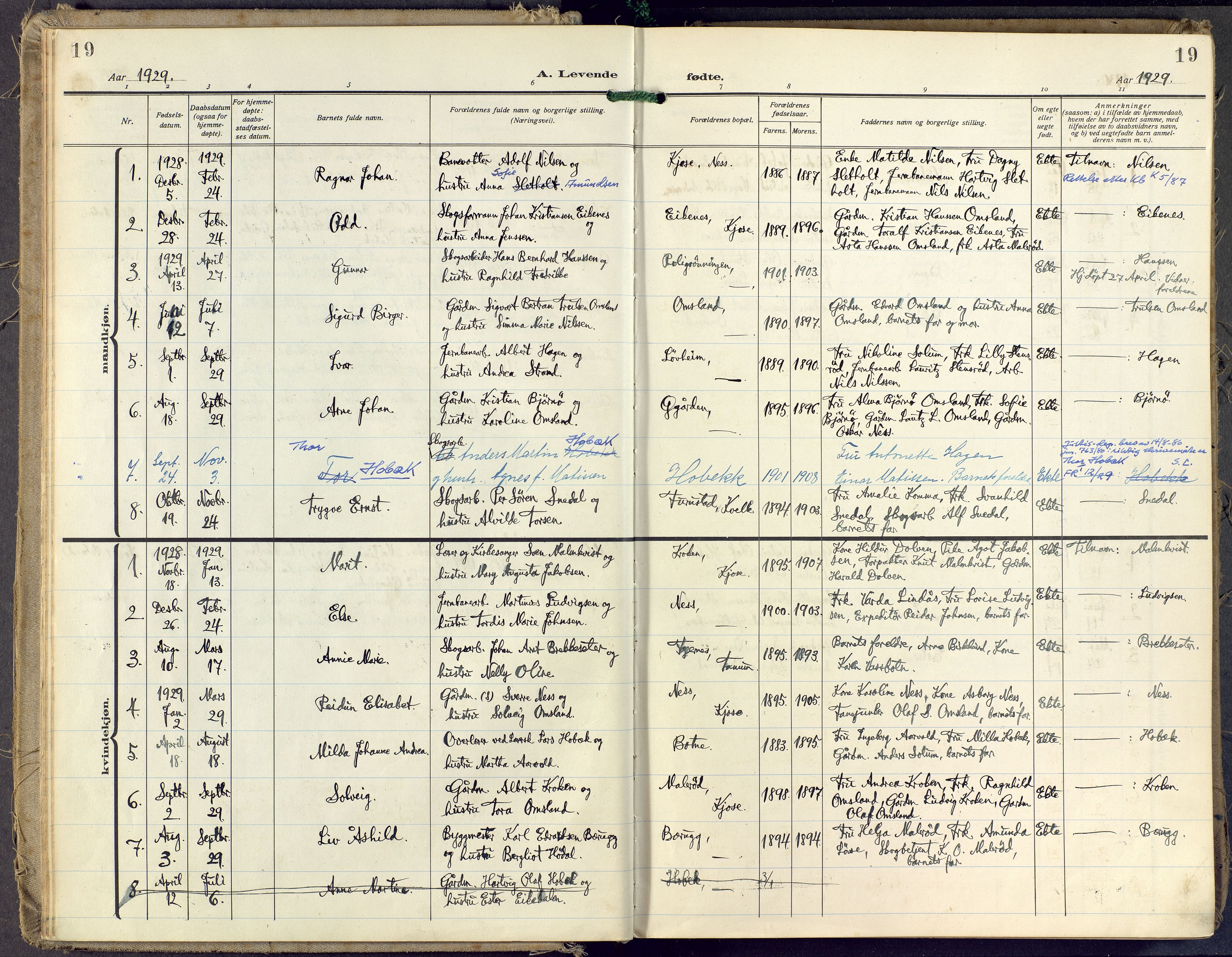 Brunlanes kirkebøker, AV/SAKO-A-342/F/Fd/L0002: Ministerialbok nr. IV 2, 1918-1958, s. 19