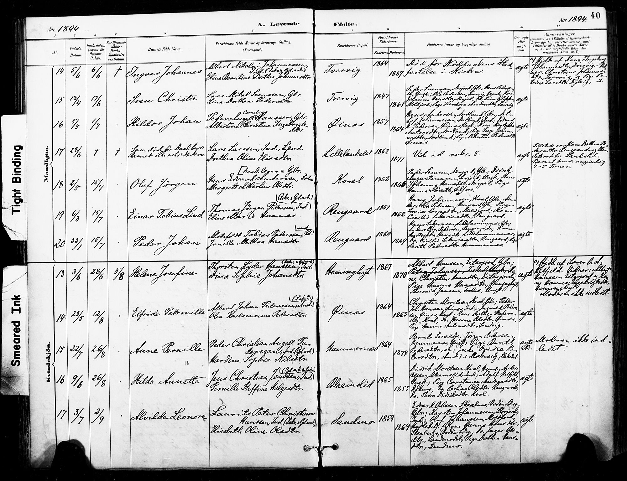 Ministerialprotokoller, klokkerbøker og fødselsregistre - Nordland, AV/SAT-A-1459/846/L0646: Ministerialbok nr. 846A04, 1887-1901, s. 40