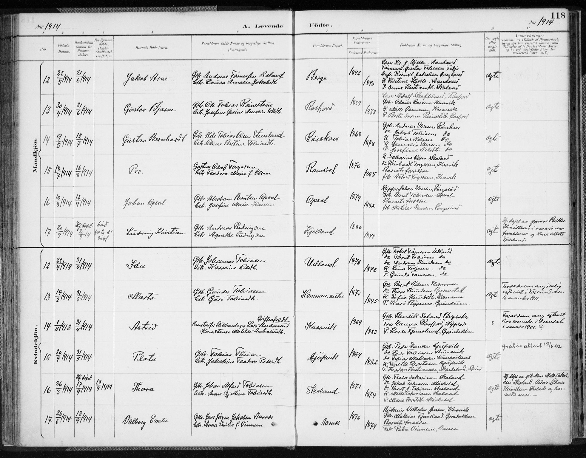 Lyngdal sokneprestkontor, AV/SAK-1111-0029/F/Fa/Fac/L0012: Ministerialbok nr. A 12, 1894-1918, s. 118
