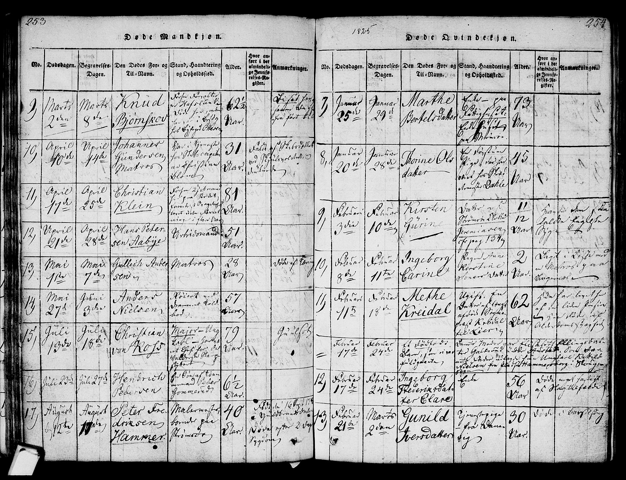 Strømsø kirkebøker, AV/SAKO-A-246/F/Fa/L0011: Ministerialbok nr. I 11, 1815-1829, s. 253-254