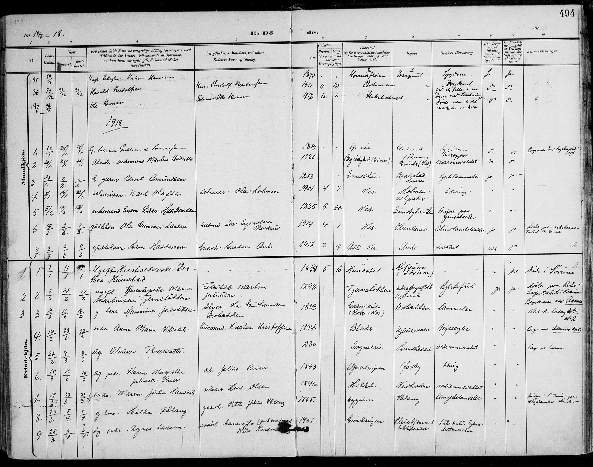 Nes prestekontor Kirkebøker, SAO/A-10410/F/Fa/L0011: Ministerialbok nr. I 11, 1899-1918, s. 494