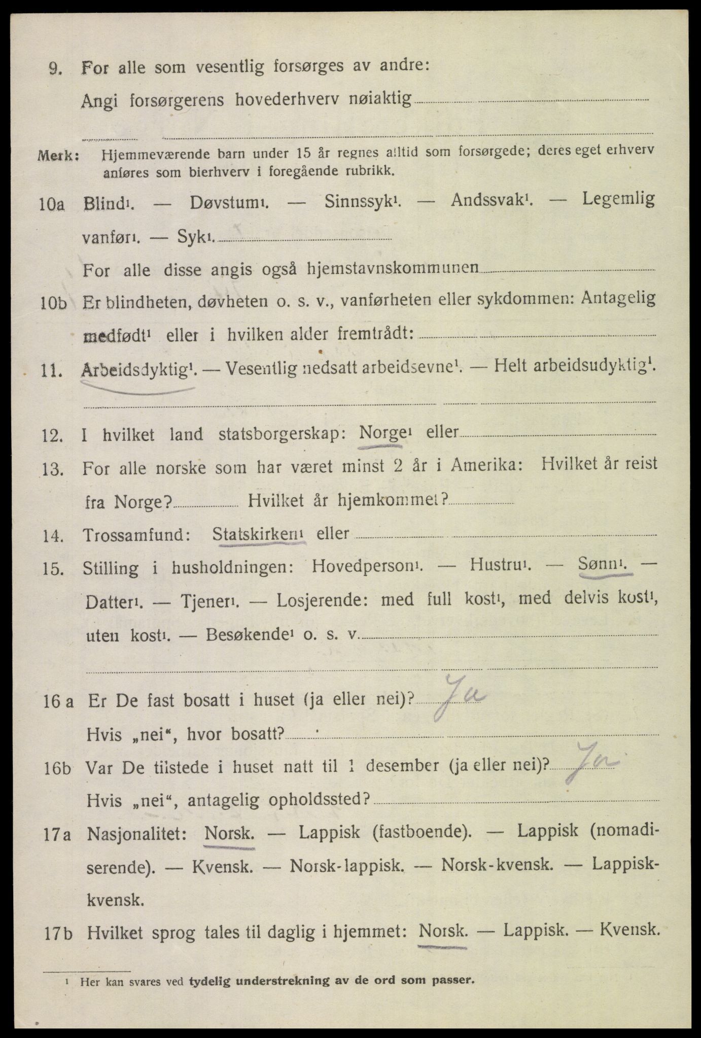 SAT, Folketelling 1920 for 1843 Bodin herred, 1920, s. 10841