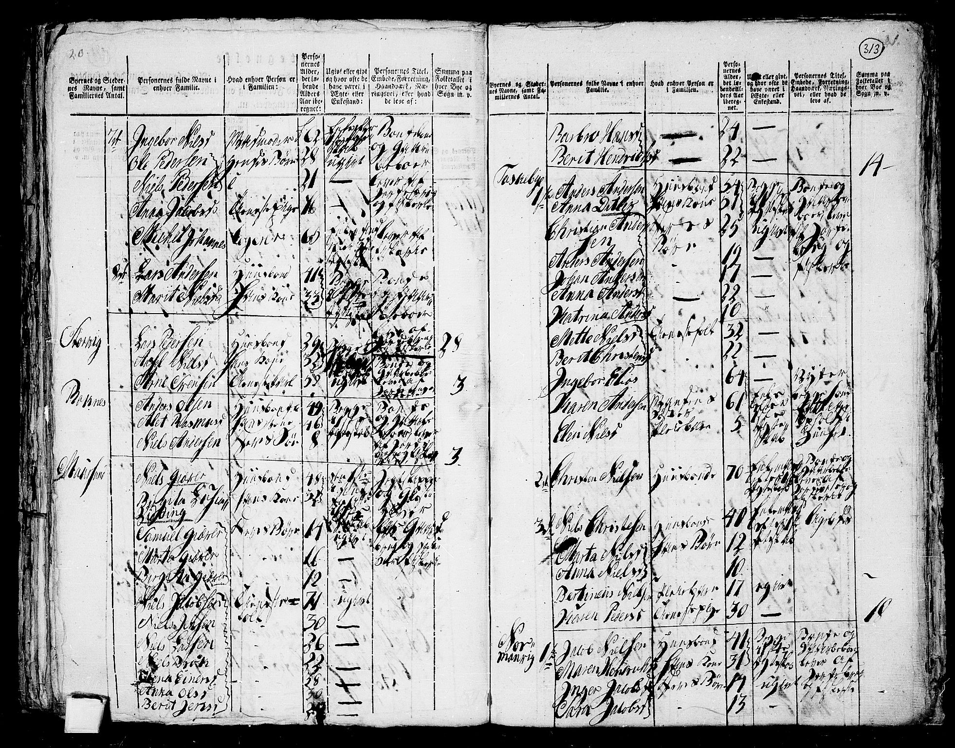 RA, Folketelling 1801 for 1941P Skjervøy prestegjeld, 1801, s. 312b-313a