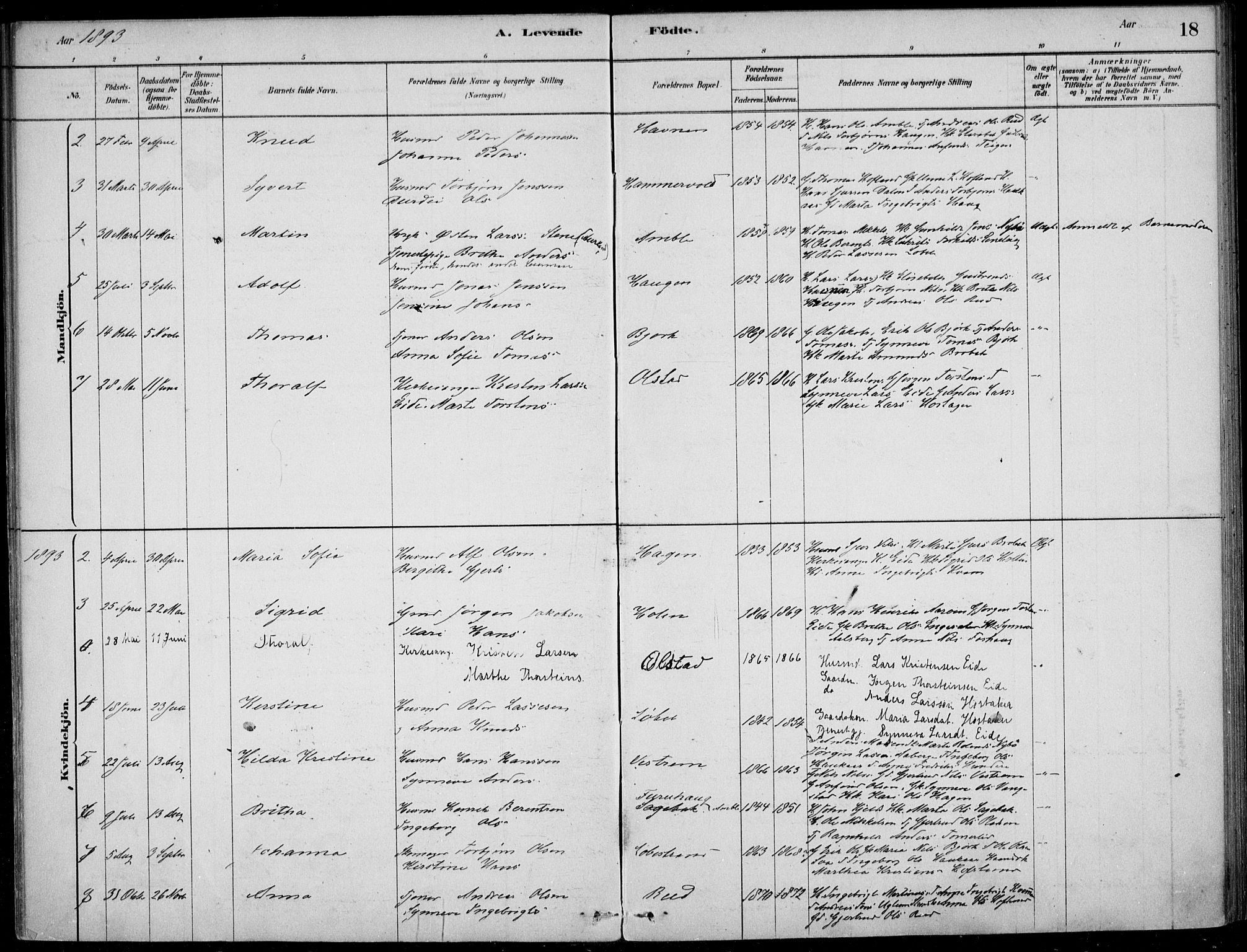 Sogndal sokneprestembete, AV/SAB-A-81301/H/Haa/Haad/L0001: Ministerialbok nr. D  1, 1878-1907, s. 18