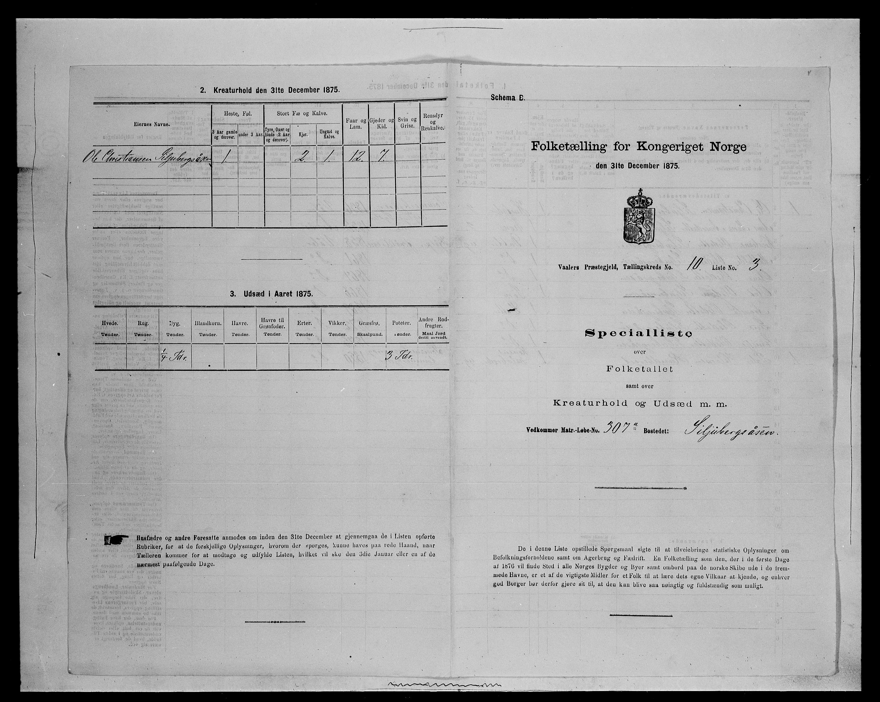 SAH, Folketelling 1875 for 0426P Våler prestegjeld (Hedmark), 1875, s. 1294