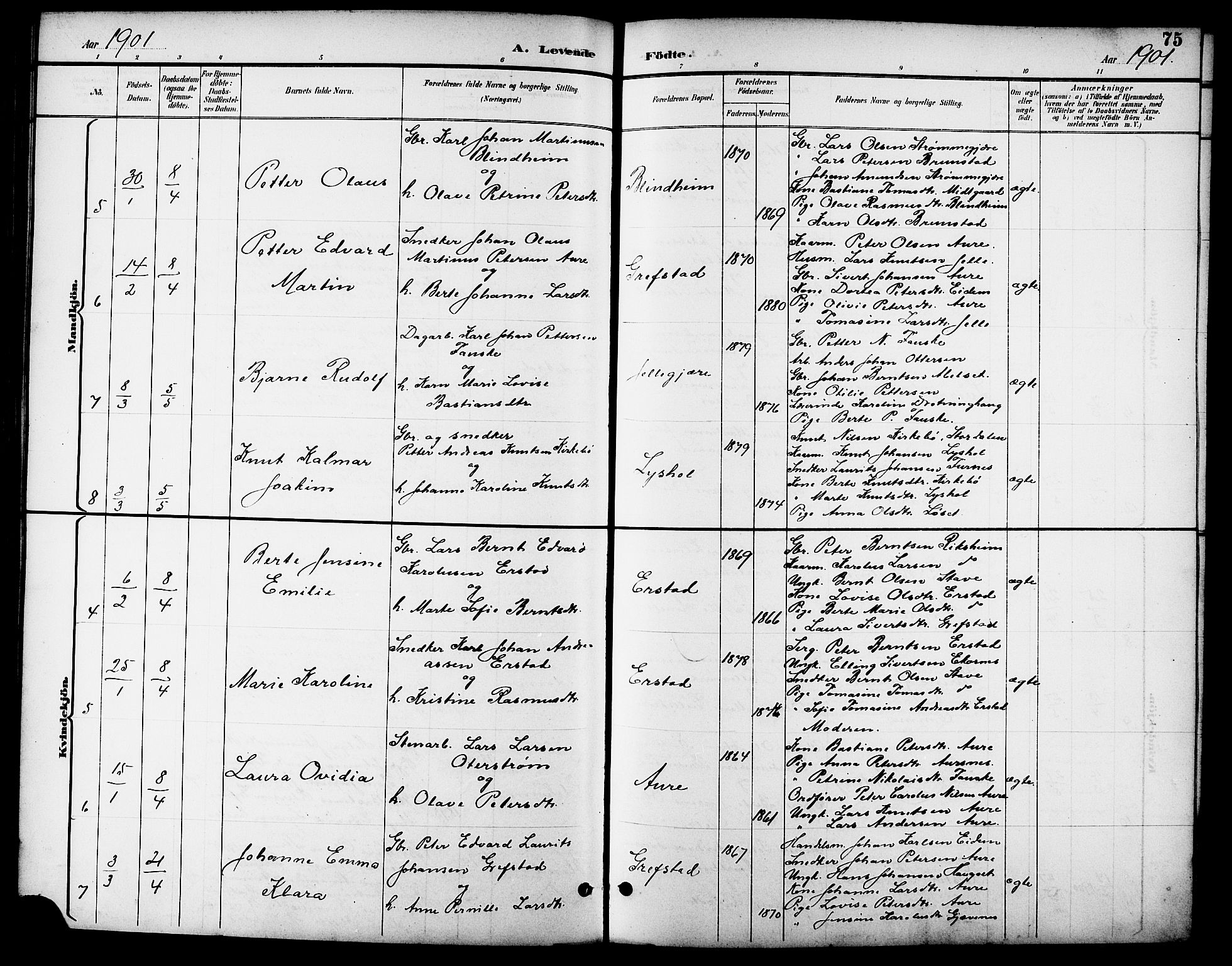 Ministerialprotokoller, klokkerbøker og fødselsregistre - Møre og Romsdal, AV/SAT-A-1454/523/L0340: Klokkerbok nr. 523C03, 1892-1902, s. 75