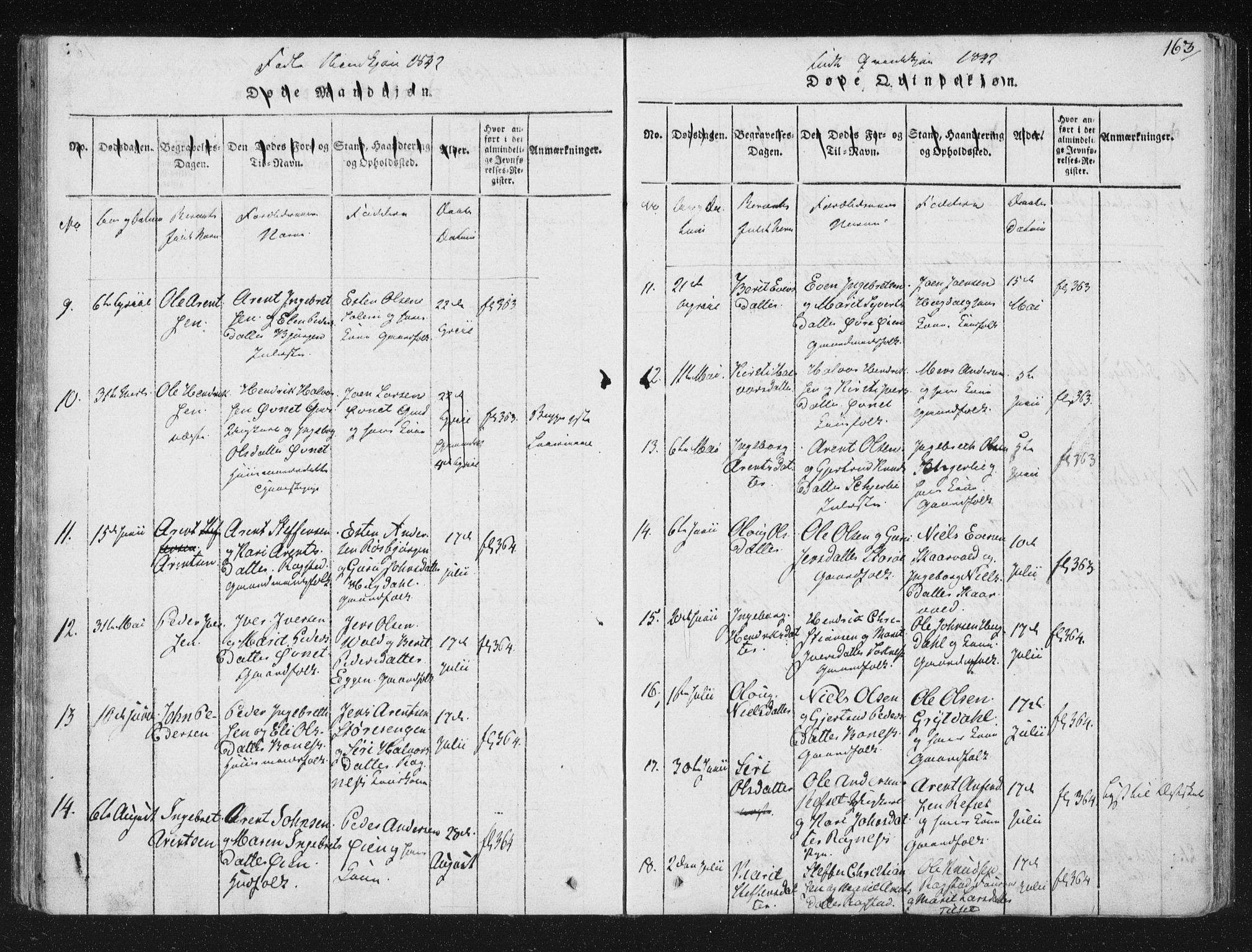 Ministerialprotokoller, klokkerbøker og fødselsregistre - Sør-Trøndelag, AV/SAT-A-1456/687/L0996: Ministerialbok nr. 687A04, 1816-1842, s. 163