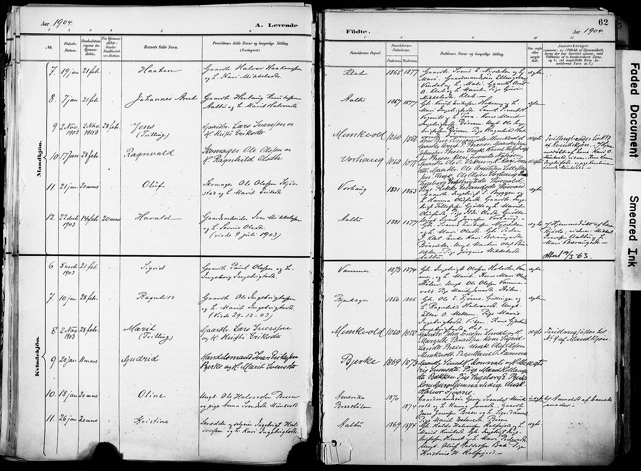 Ministerialprotokoller, klokkerbøker og fødselsregistre - Sør-Trøndelag, AV/SAT-A-1456/678/L0902: Ministerialbok nr. 678A11, 1895-1911, s. 62