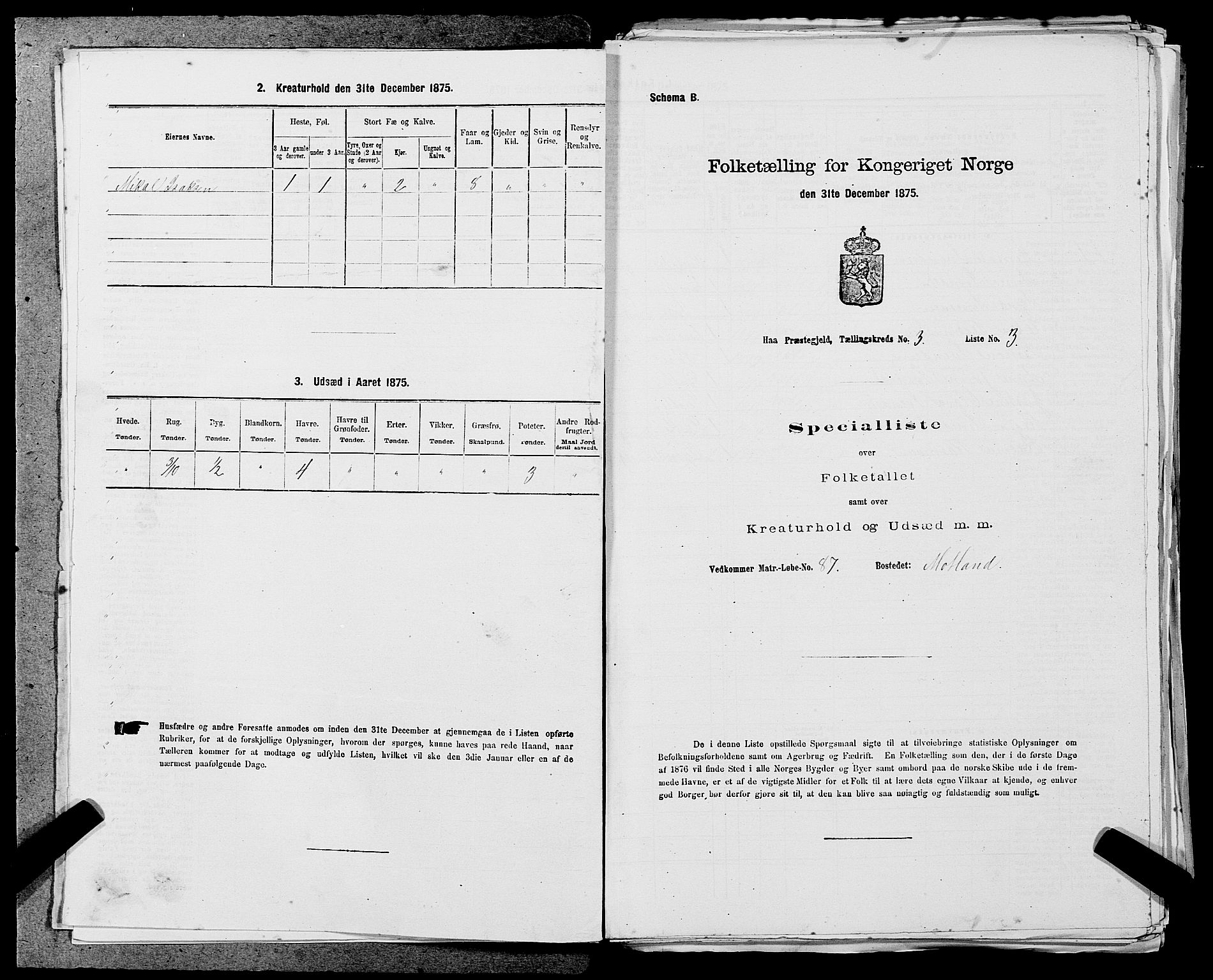 SAST, Folketelling 1875 for 1119P Hå prestegjeld, 1875, s. 323