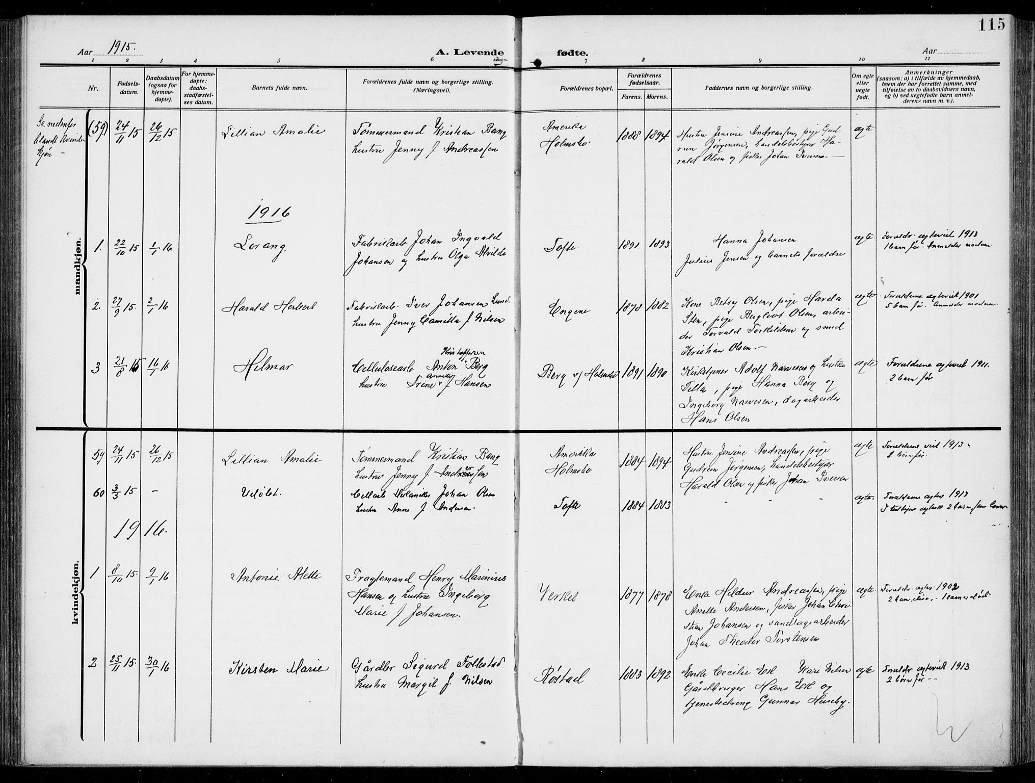 Hurum kirkebøker, AV/SAKO-A-229/F/Fa/L0016: Ministerialbok nr. 16, 1899-1918, s. 115
