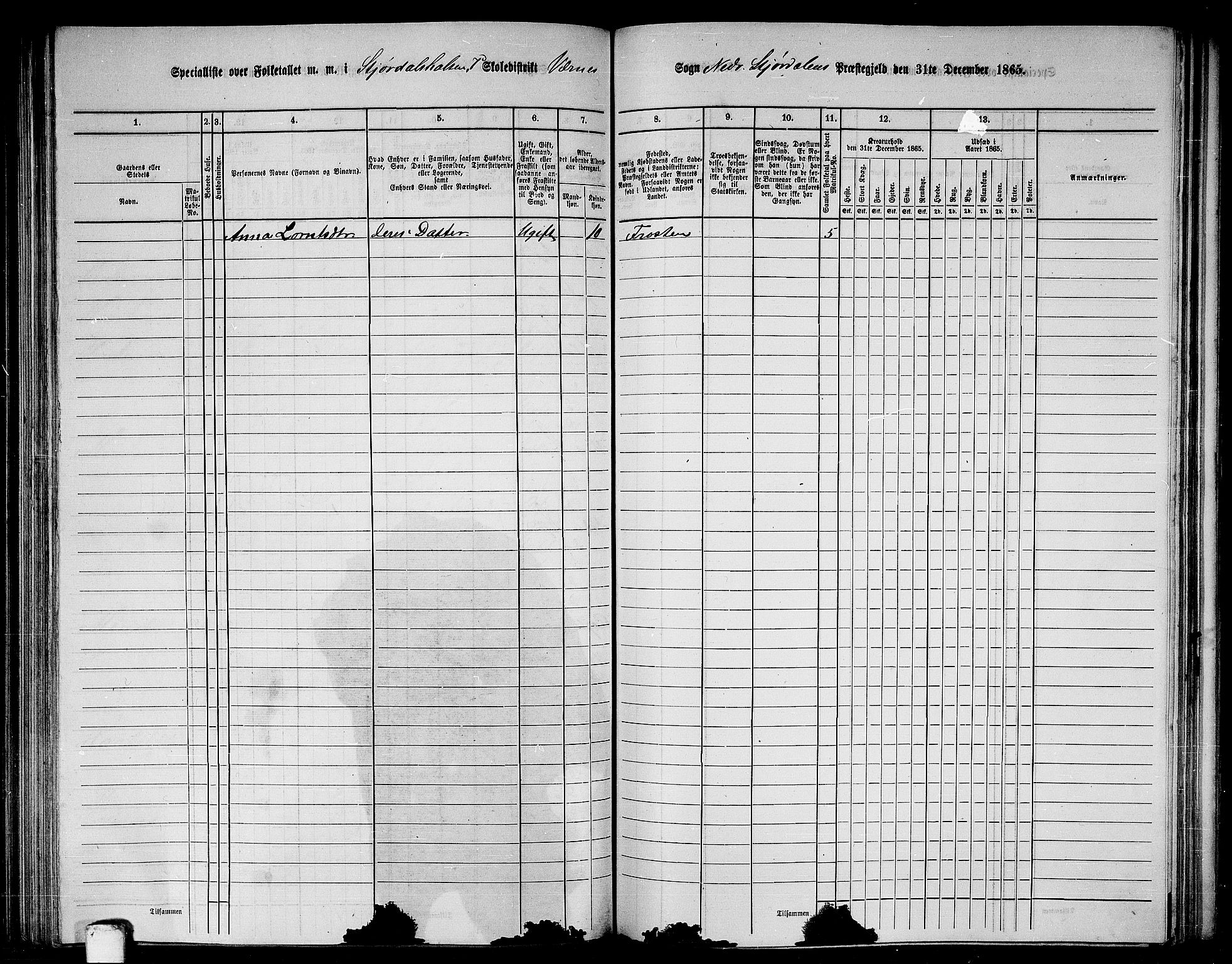 RA, Folketelling 1865 for 1714P Nedre Stjørdal prestegjeld, 1865, s. 173