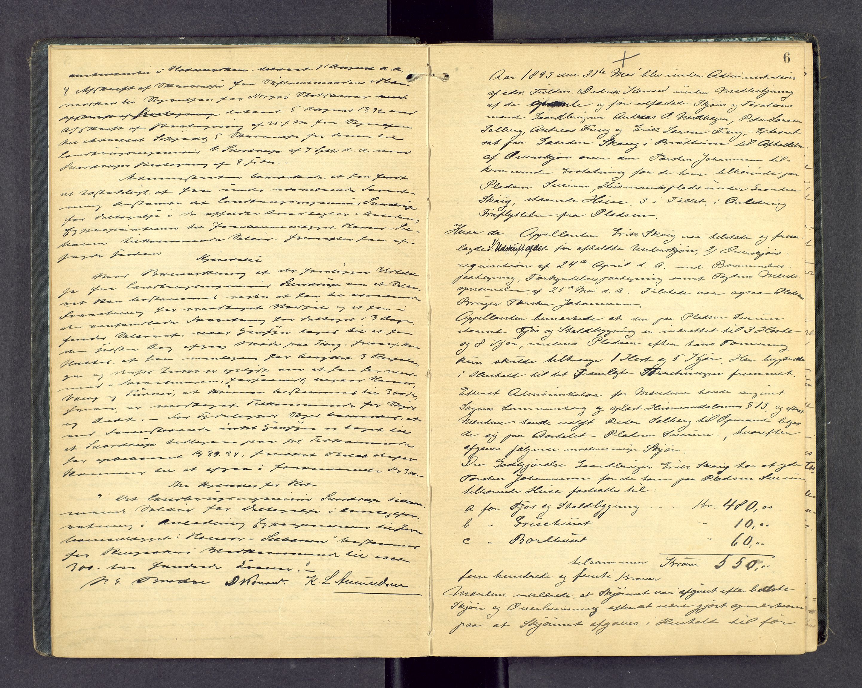 Nord-Hedmark sorenskriveri, AV/SAH-TING-012/G/Gd/L0007: Åstedsprotokoll, 1892-1901, s. 5b-6a