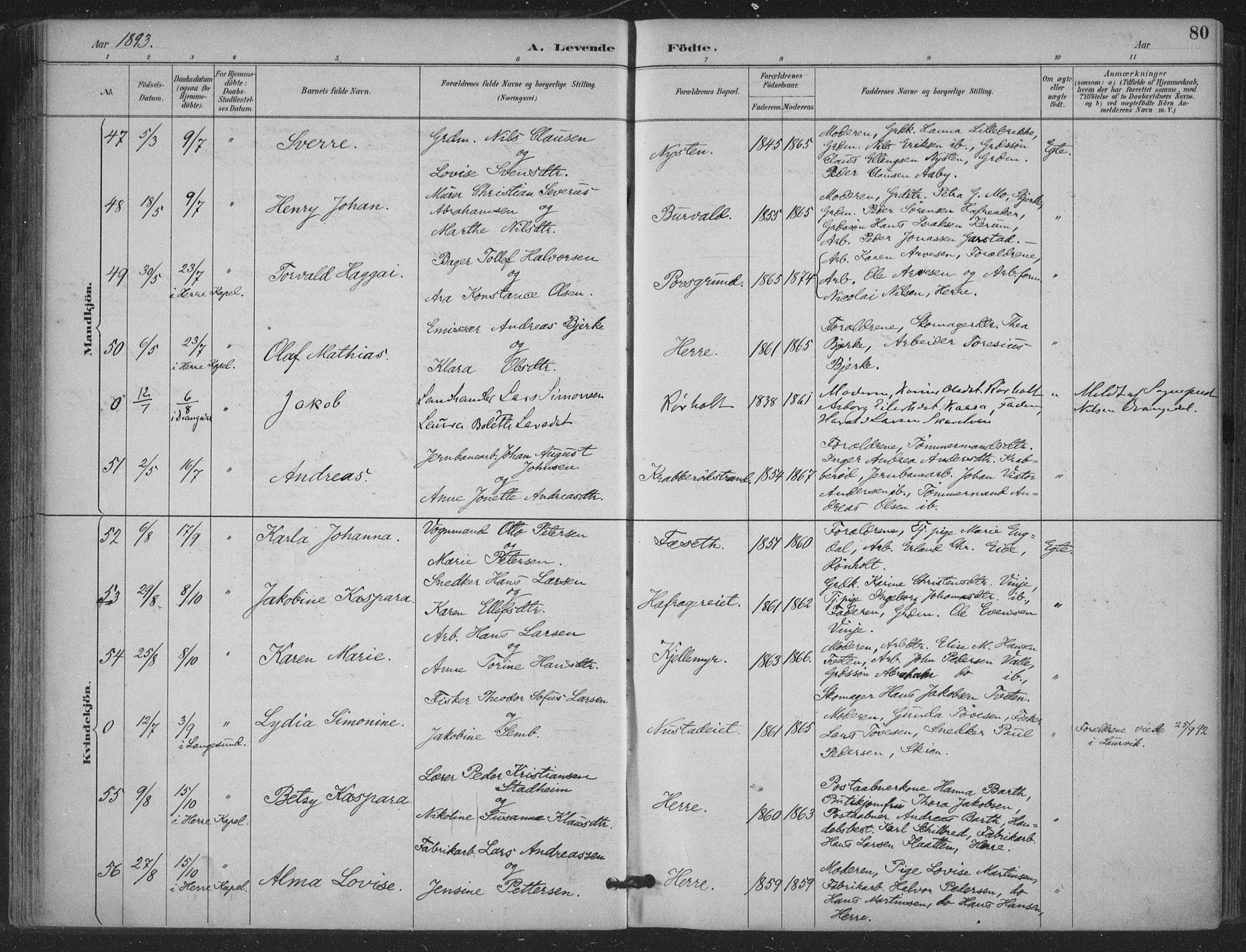 Bamble kirkebøker, AV/SAKO-A-253/F/Fa/L0008: Ministerialbok nr. I 8, 1888-1900, s. 80