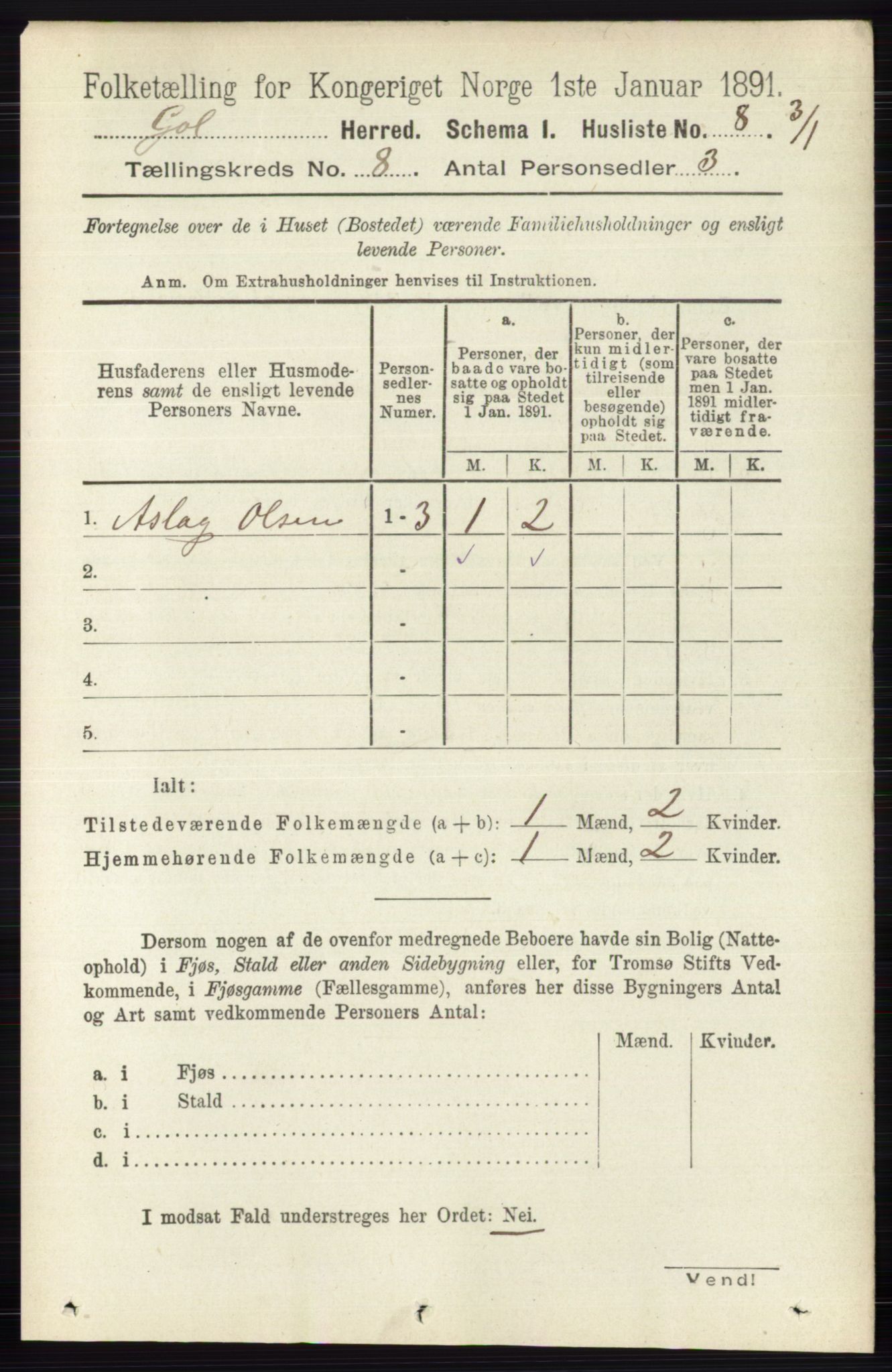 RA, Folketelling 1891 for 0617 Gol og Hemsedal herred, 1891, s. 2989