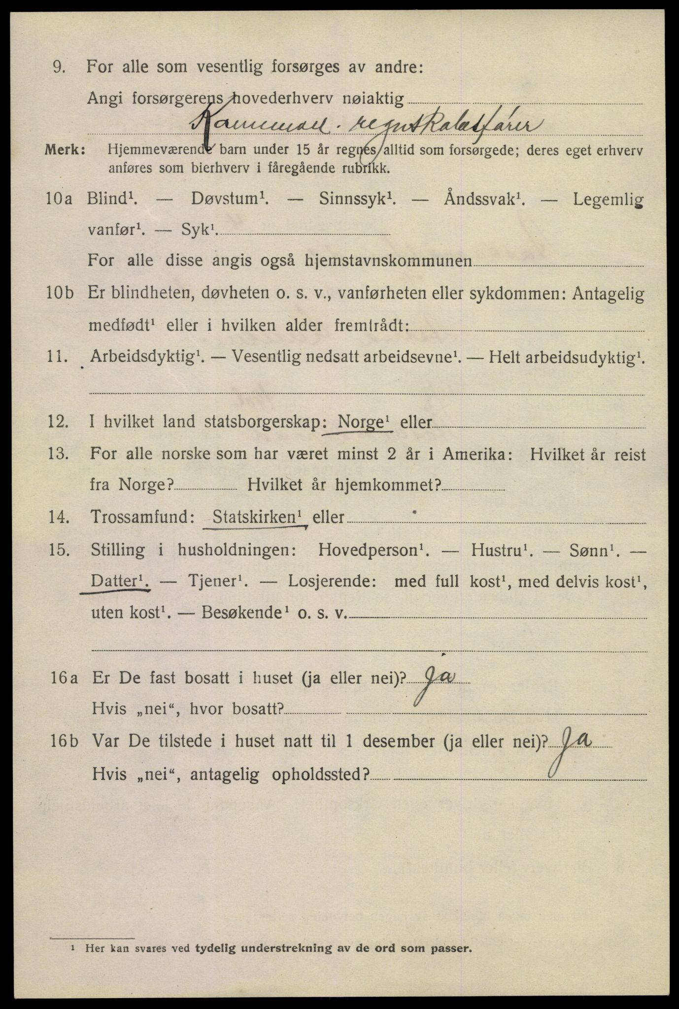 SAKO, Folketelling 1920 for 0704 Åsgårdstrand ladested, 1920, s. 1204