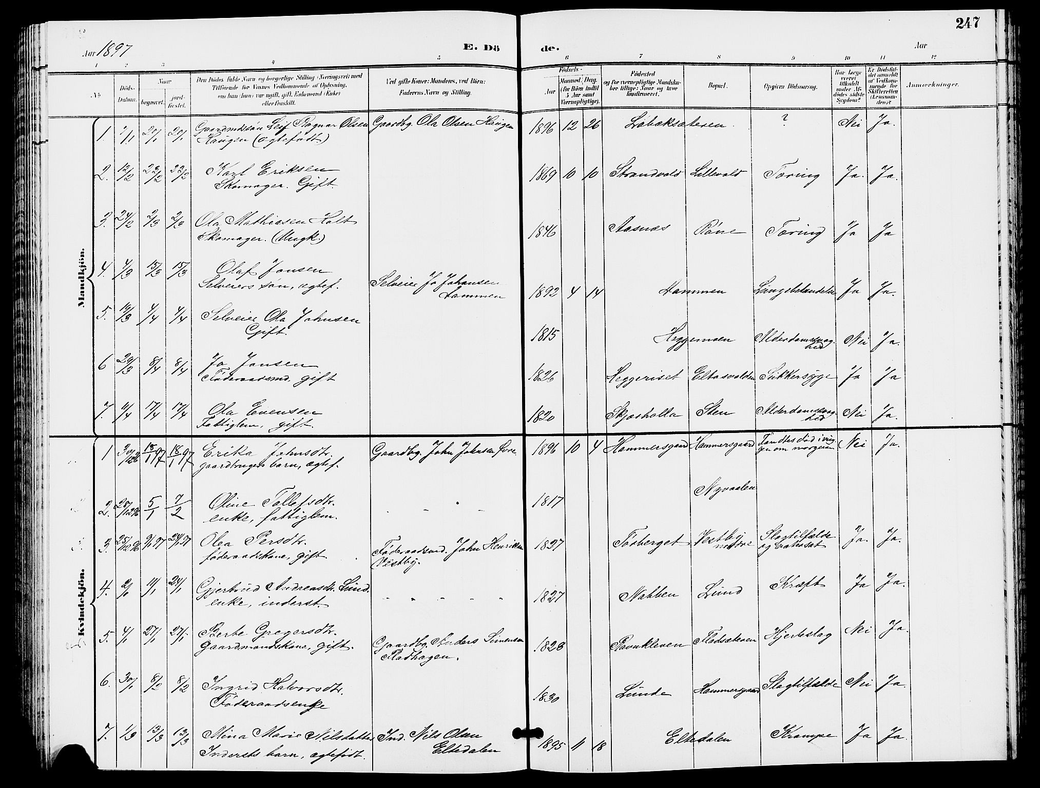 Trysil prestekontor, SAH/PREST-046/H/Ha/Hab/L0006: Klokkerbok nr. 6, 1896-1912, s. 247