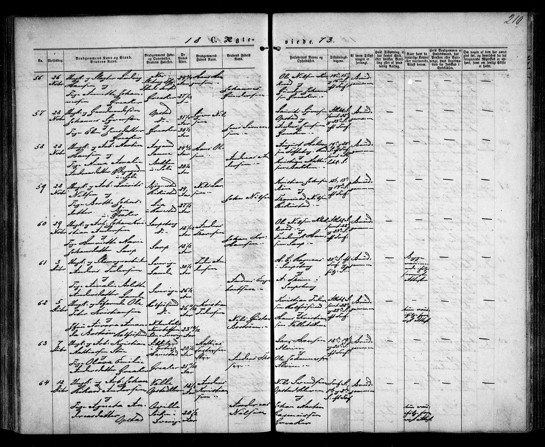 Tune prestekontor Kirkebøker, AV/SAO-A-2007/F/Fa/L0015: Ministerialbok nr. 15, 1869-1873, s. 210
