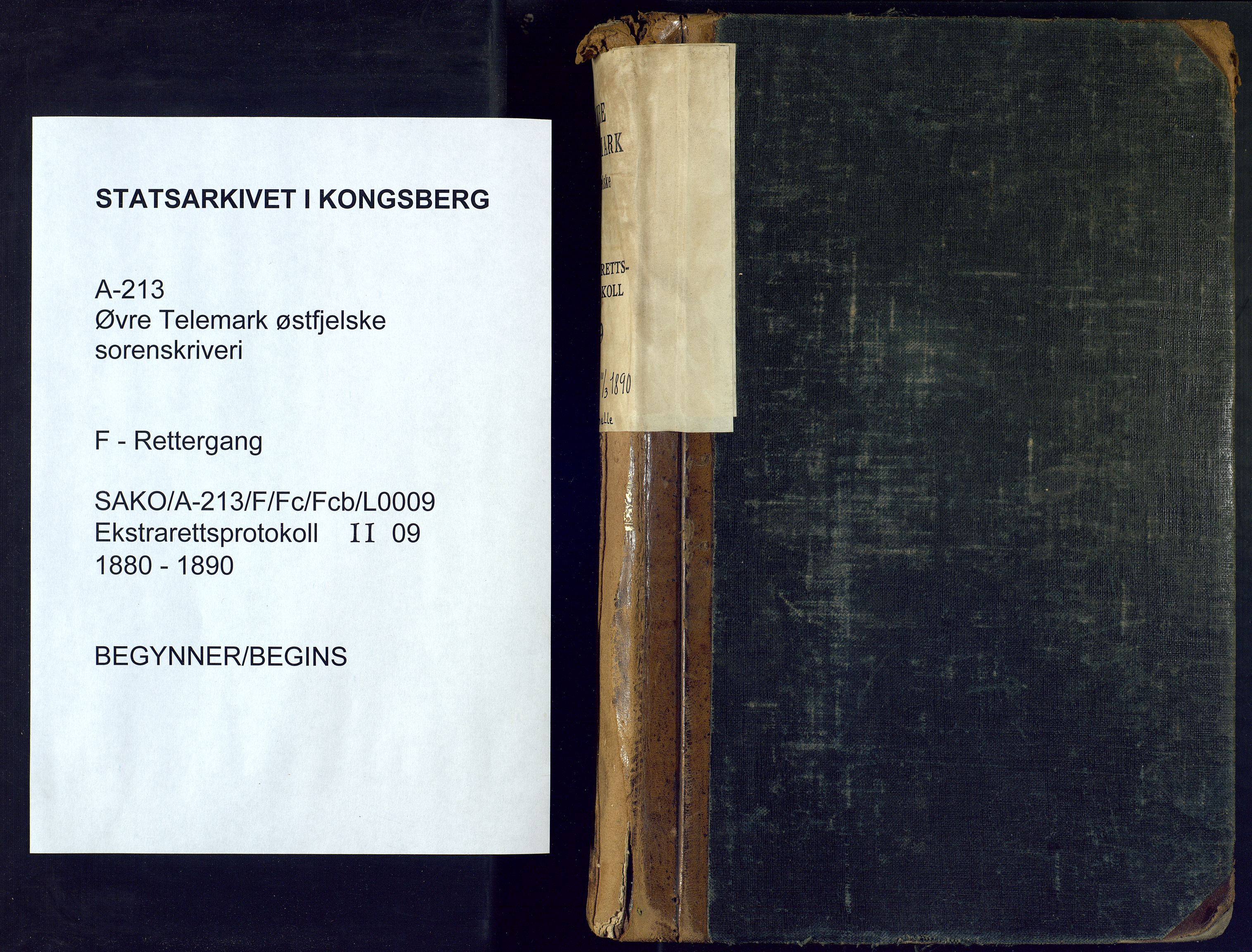 Øvre Telemark østfjelske sorenskriveri, SAKO/A-213/F/Fc/Fcb/L0009: Ekstrarettsprotokoll, straffesaker, 1880-1890