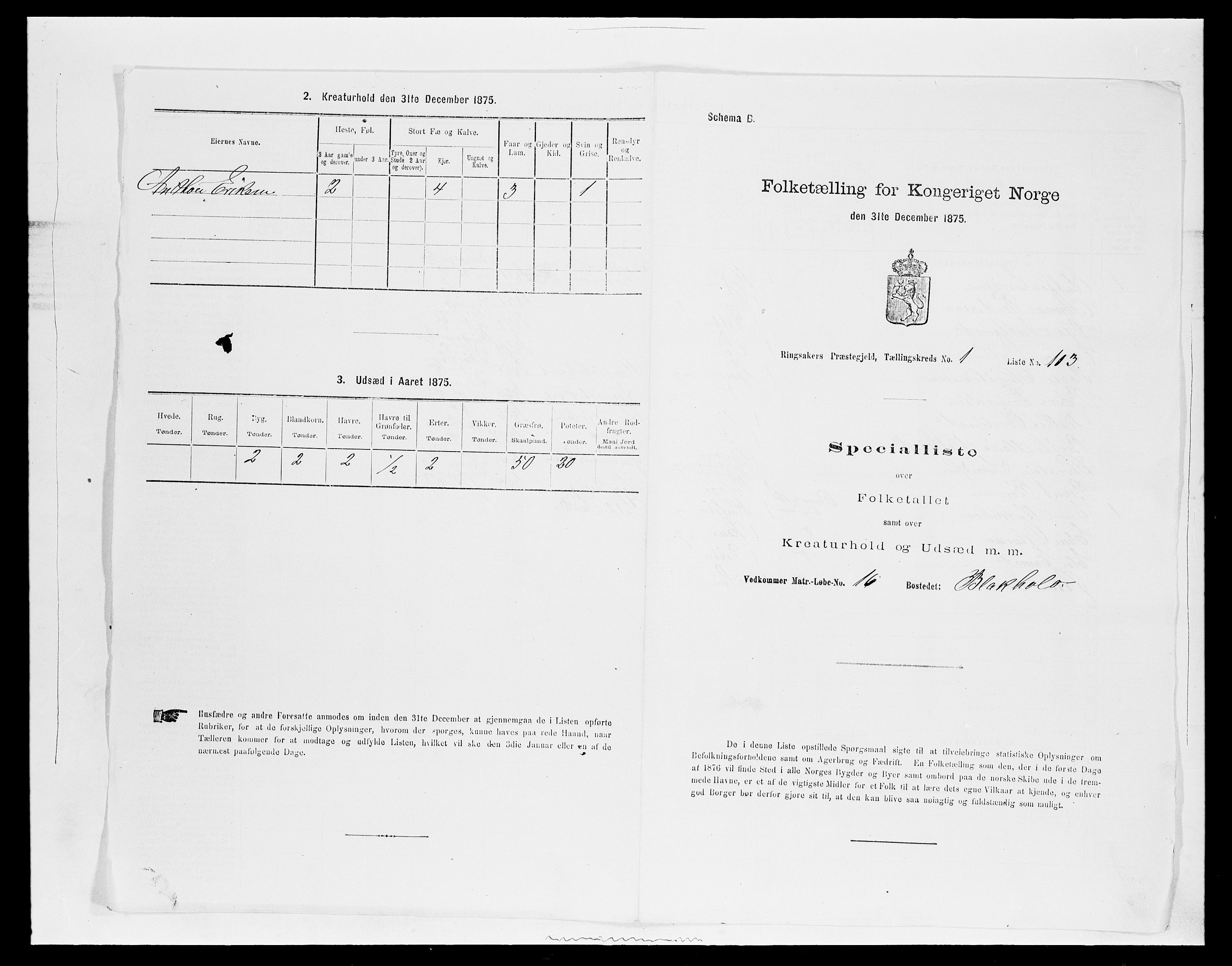 SAH, Folketelling 1875 for 0412P Ringsaker prestegjeld, 1875, s. 429