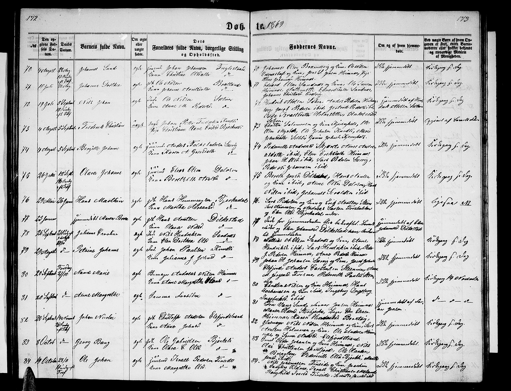 Ministerialprotokoller, klokkerbøker og fødselsregistre - Nordland, AV/SAT-A-1459/825/L0365: Klokkerbok nr. 825C02, 1858-1873, s. 172-173