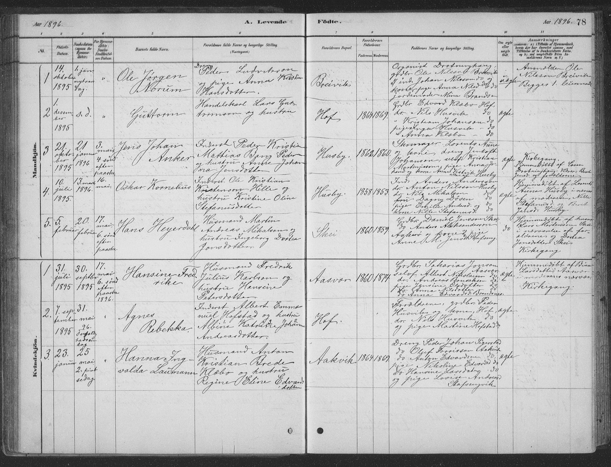 Ministerialprotokoller, klokkerbøker og fødselsregistre - Nordland, AV/SAT-A-1459/835/L0532: Klokkerbok nr. 835C04, 1880-1905, s. 78