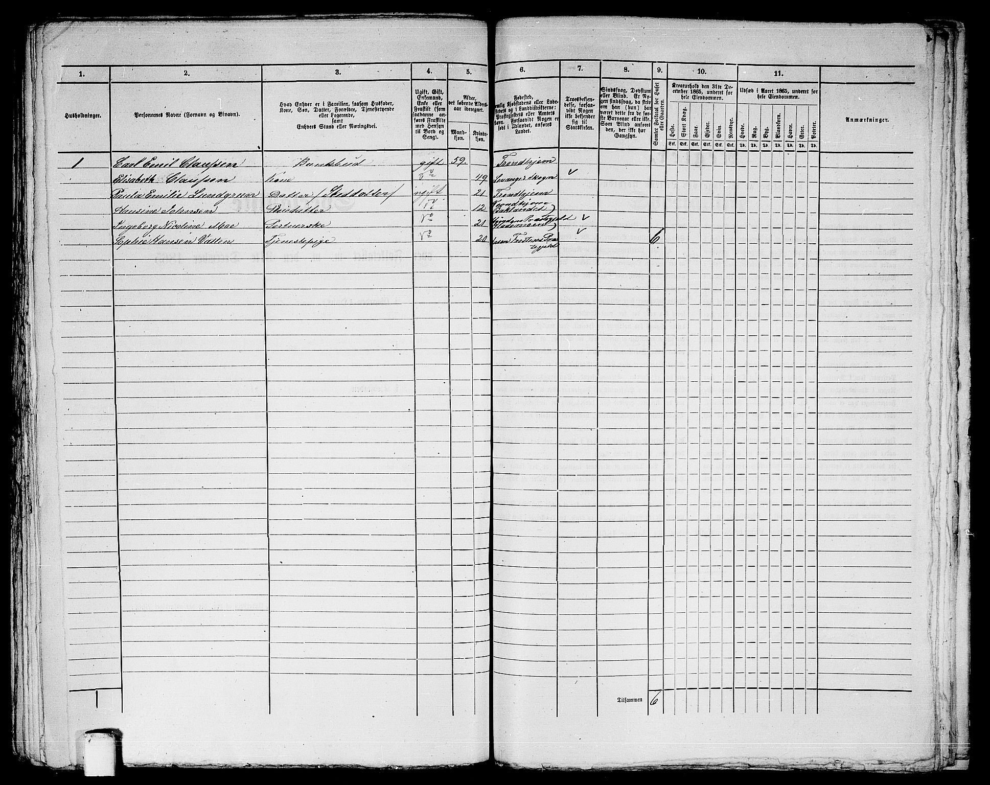 RA, Folketelling 1865 for 1601 Trondheim kjøpstad, 1865, s. 1017