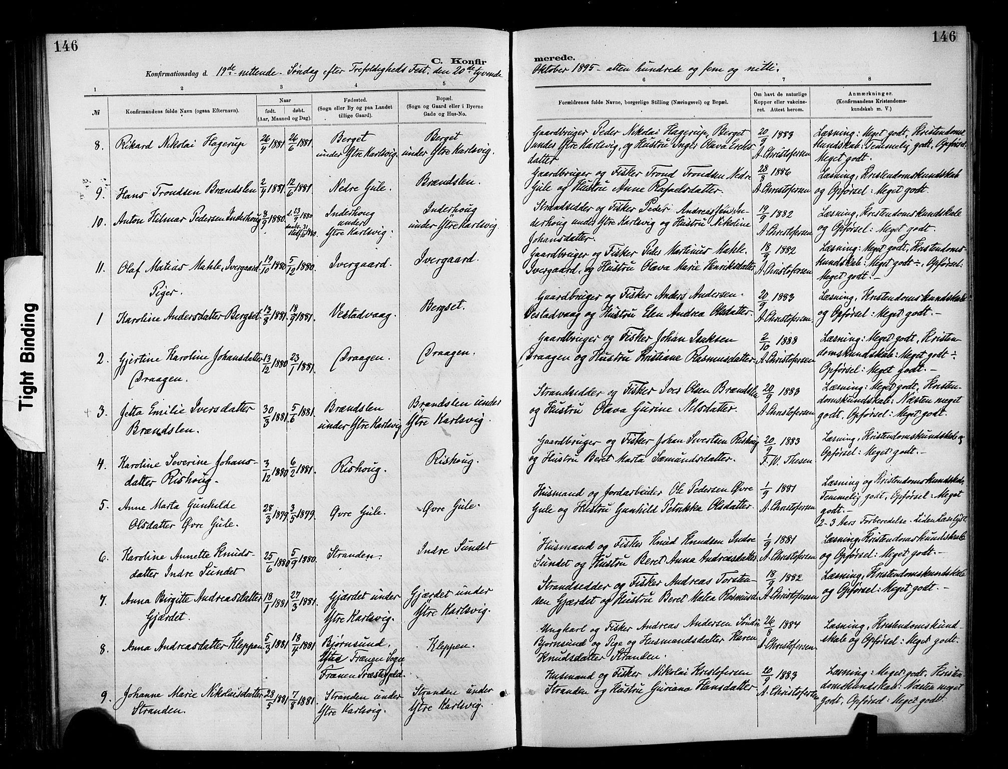 Ministerialprotokoller, klokkerbøker og fødselsregistre - Møre og Romsdal, AV/SAT-A-1454/566/L0769: Ministerialbok nr. 566A08, 1881-1903, s. 146