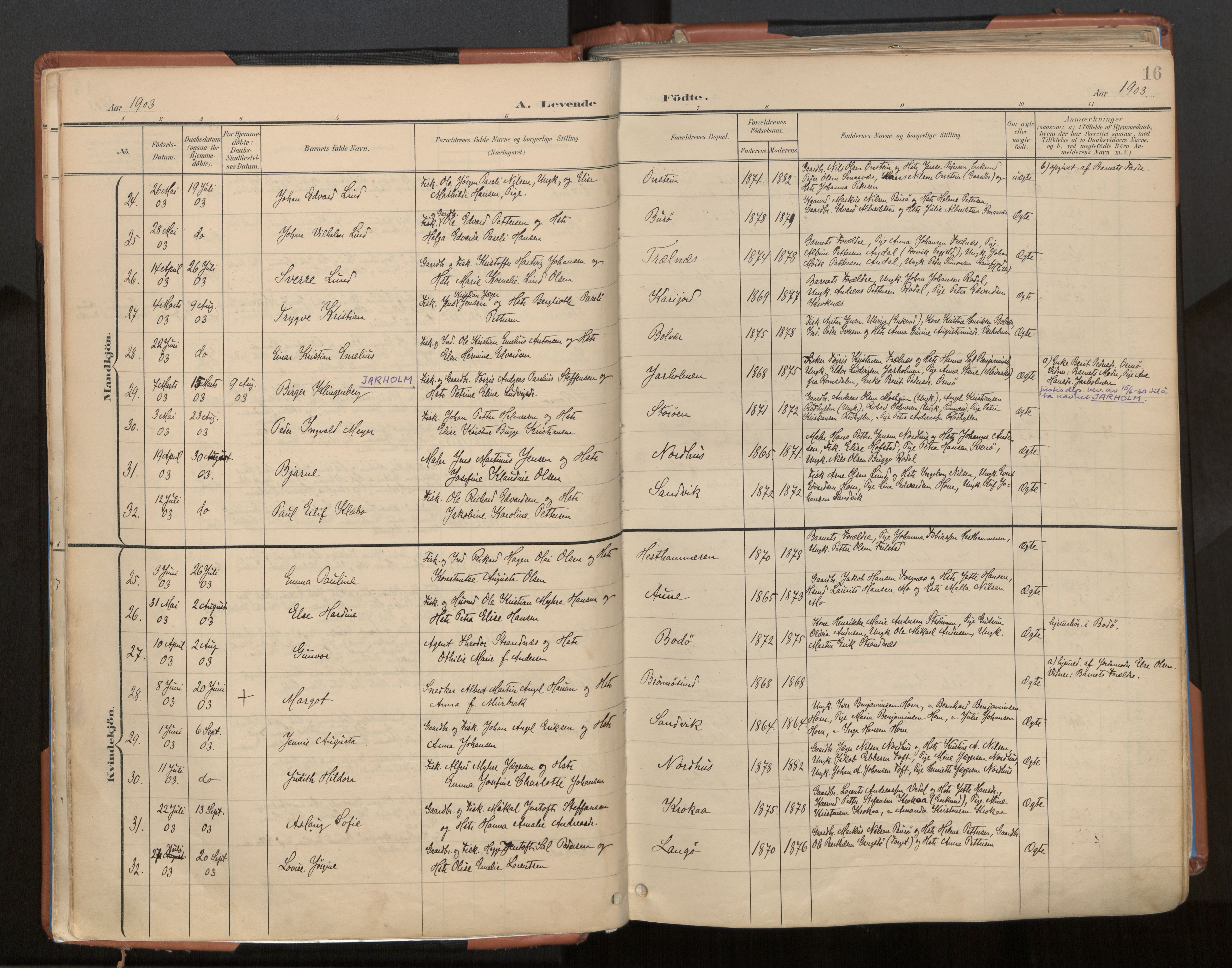 Ministerialprotokoller, klokkerbøker og fødselsregistre - Nordland, AV/SAT-A-1459/813/L0201: Ministerialbok nr. 813A11, 1901-1918, s. 16