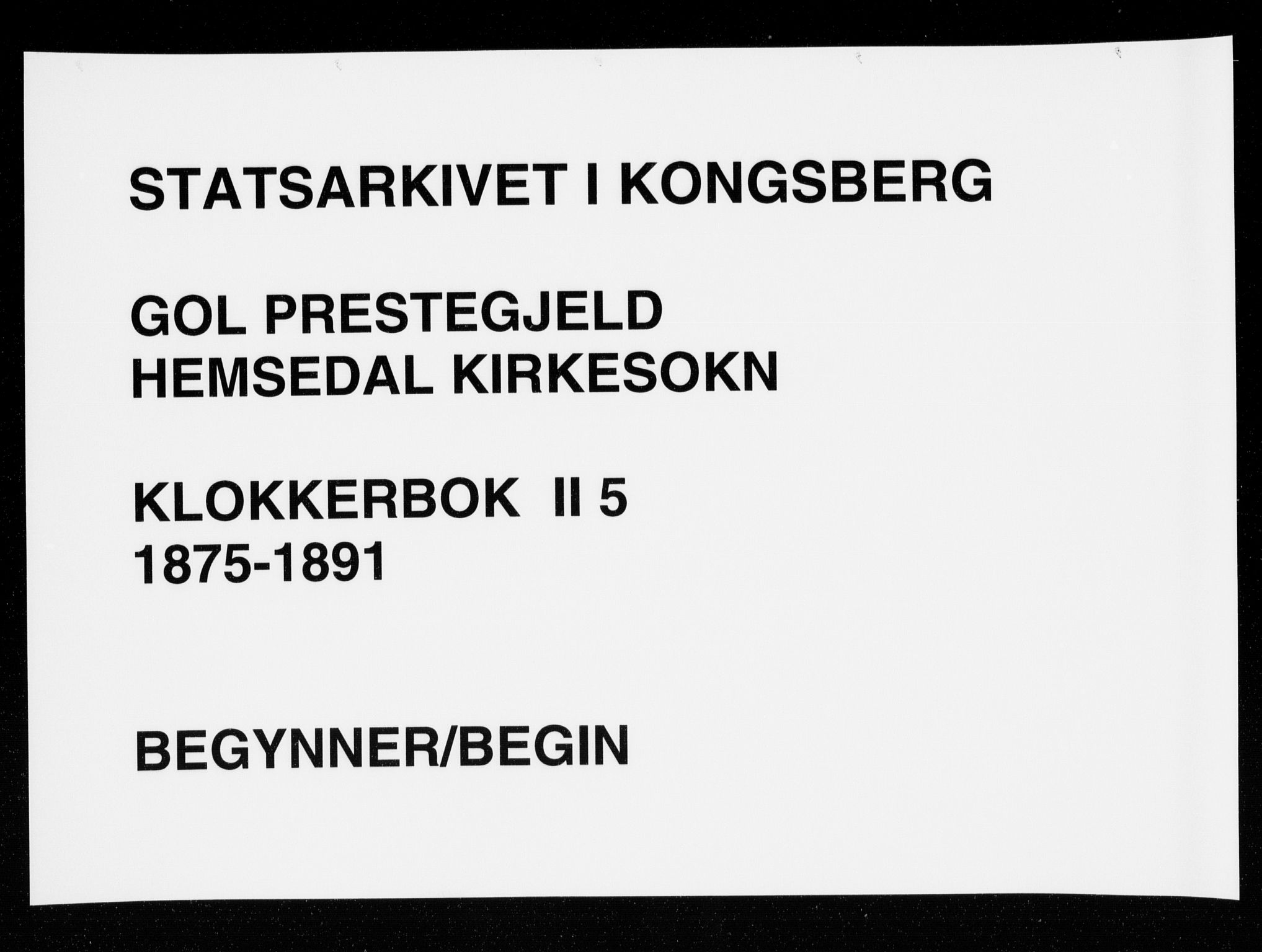 Gol kirkebøker, SAKO/A-226/G/Gb/L0005: Klokkerbok nr. II 5, 1875-1891