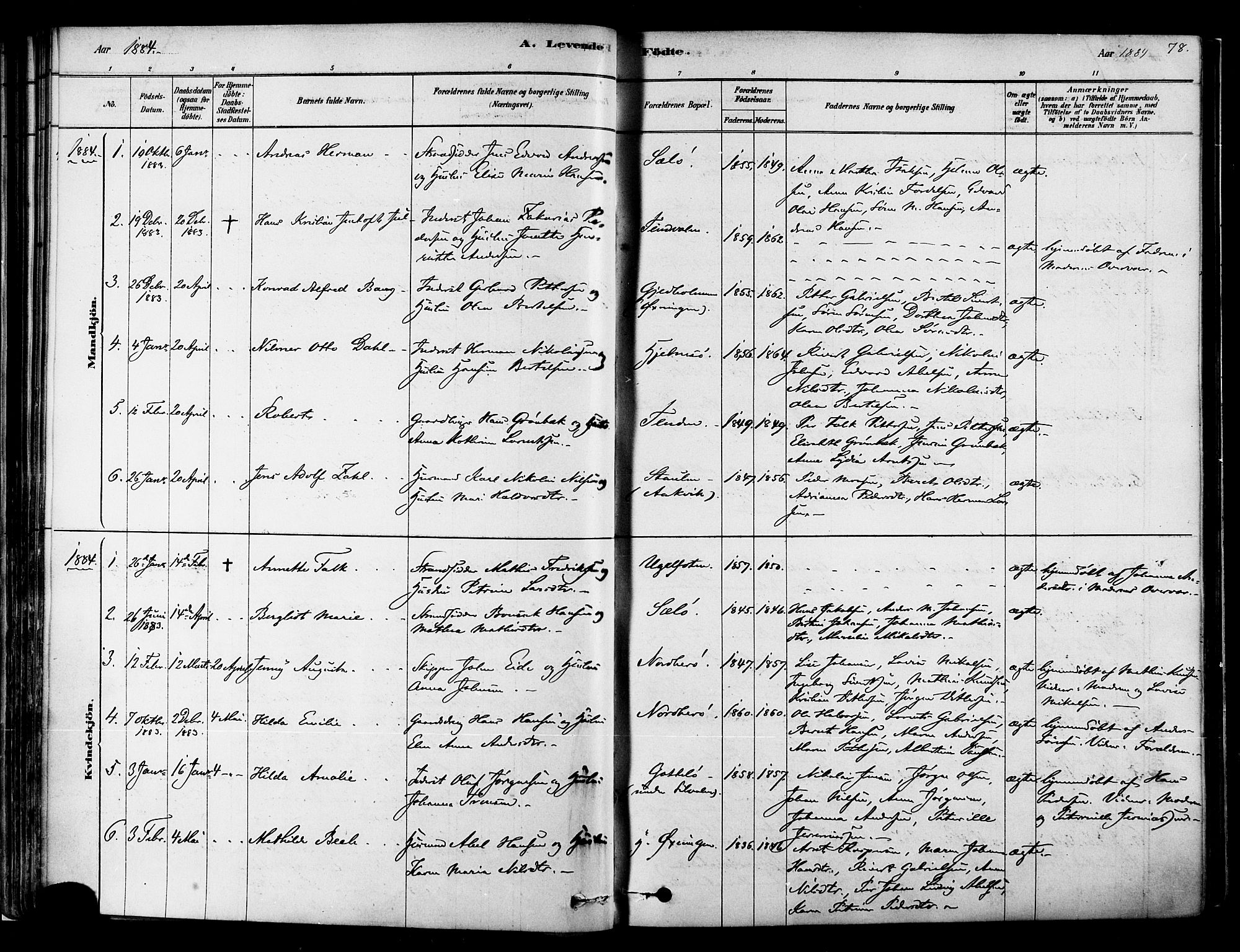 Ministerialprotokoller, klokkerbøker og fødselsregistre - Nordland, AV/SAT-A-1459/834/L0507: Ministerialbok nr. 834A05, 1878-1892, s. 78
