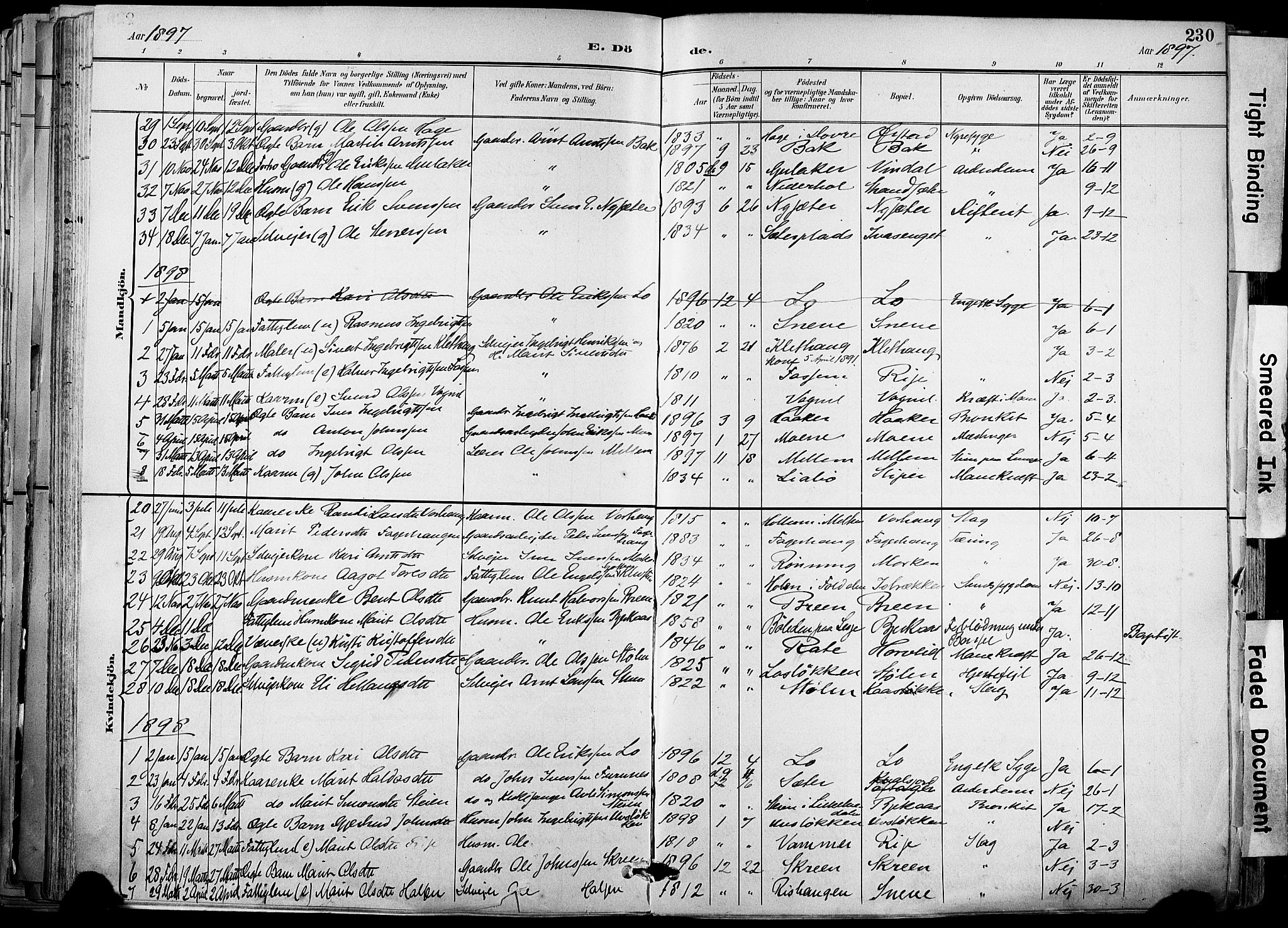 Ministerialprotokoller, klokkerbøker og fødselsregistre - Sør-Trøndelag, AV/SAT-A-1456/678/L0902: Ministerialbok nr. 678A11, 1895-1911, s. 230