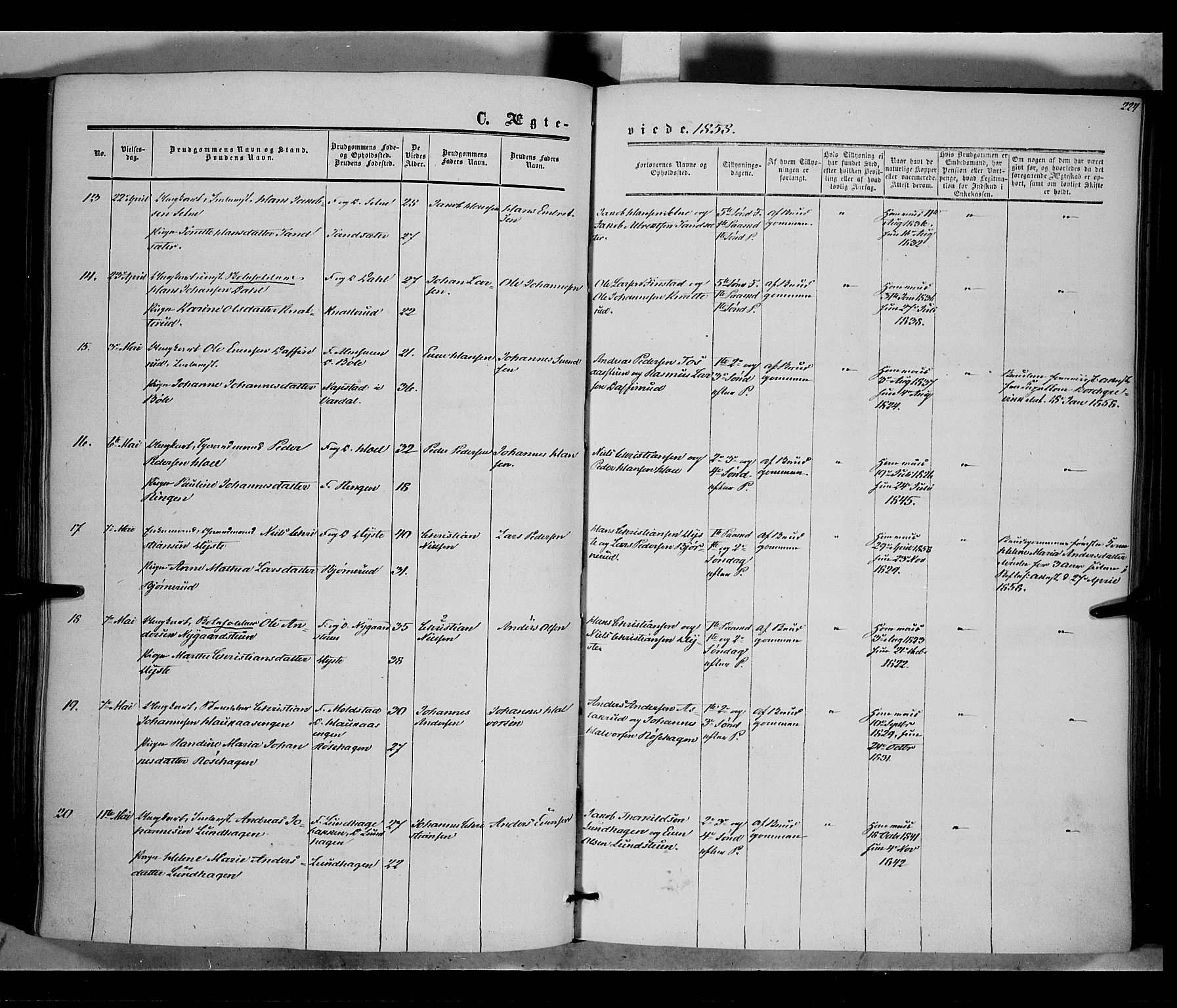 Vestre Toten prestekontor, SAH/PREST-108/H/Ha/Haa/L0006: Ministerialbok nr. 6, 1856-1861, s. 224