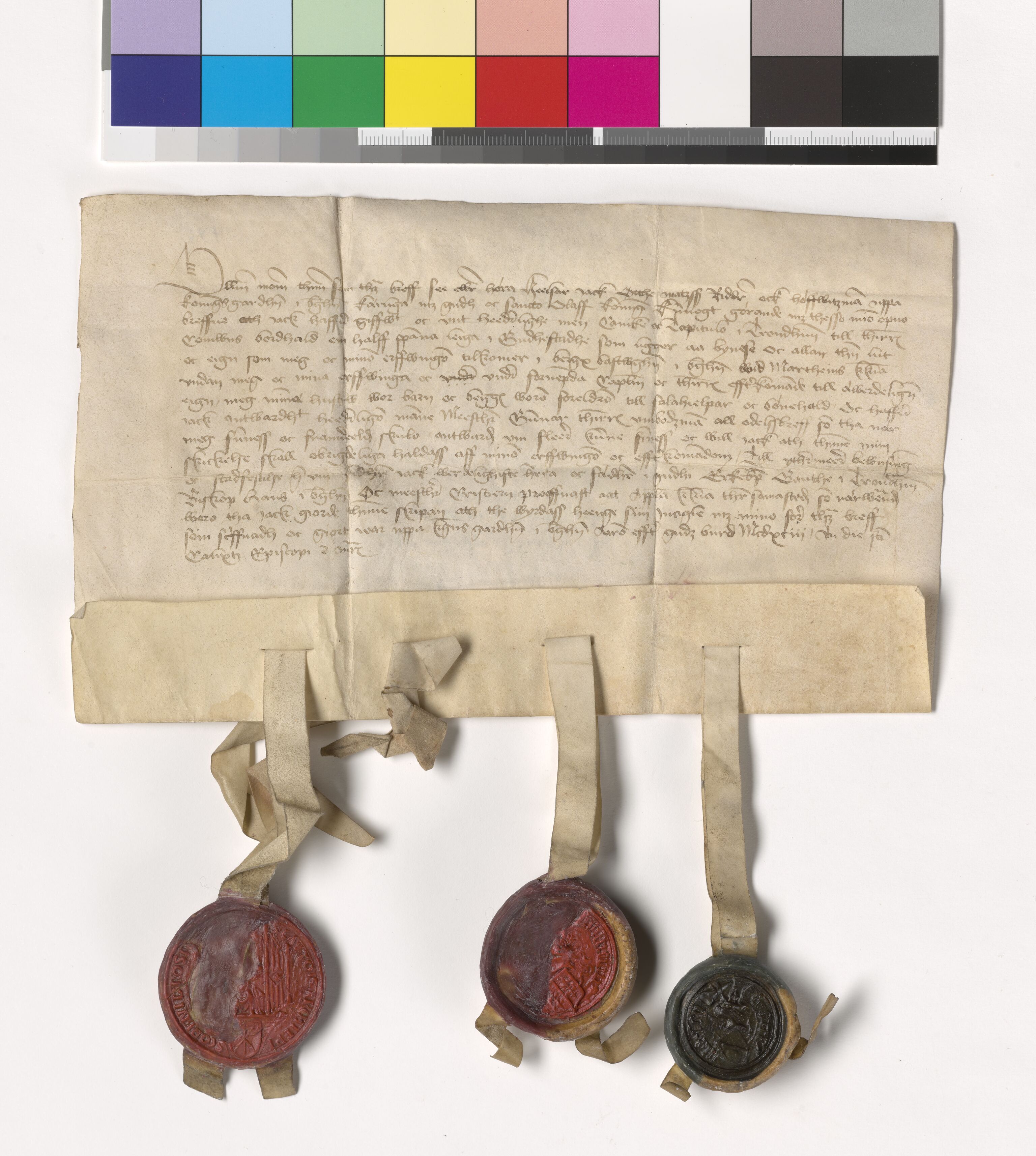 Riksarkivets diplomsamling, AV/RA-EA-5965/F05/L0059: NRA AM fasc. 17 nr. 10-12, 1493-1497, s. 2