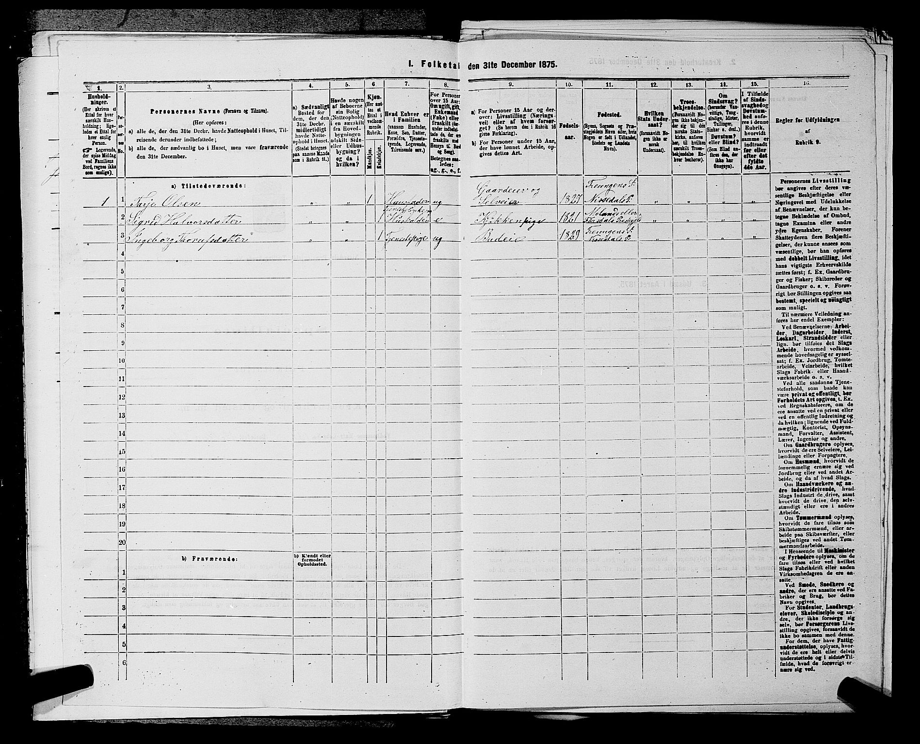 SAKO, Folketelling 1875 for 0830P Nissedal prestegjeld, 1875, s. 356