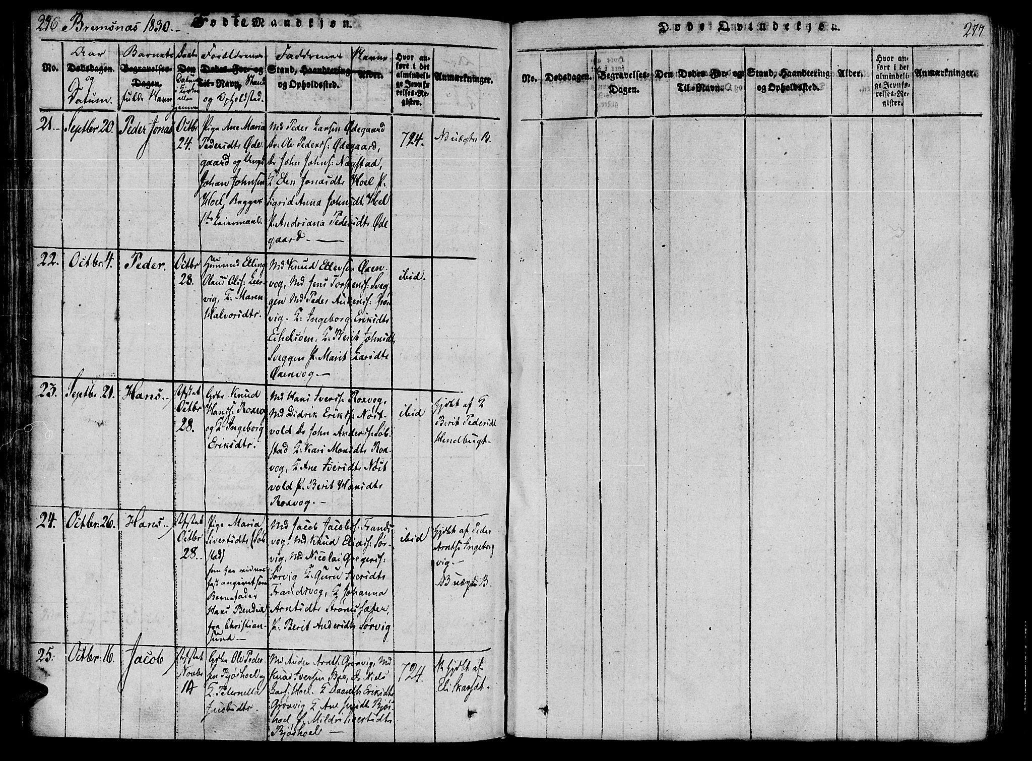 Ministerialprotokoller, klokkerbøker og fødselsregistre - Møre og Romsdal, AV/SAT-A-1454/568/L0800: Ministerialbok nr. 568A09 /2, 1820-1830, s. 276-277