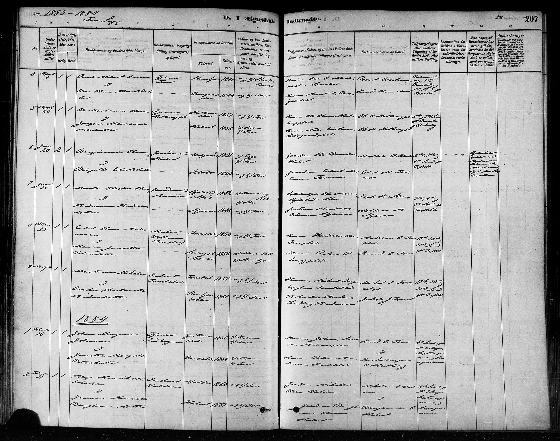 Ministerialprotokoller, klokkerbøker og fødselsregistre - Nord-Trøndelag, SAT/A-1458/746/L0448: Ministerialbok nr. 746A07 /1, 1878-1900, s. 207