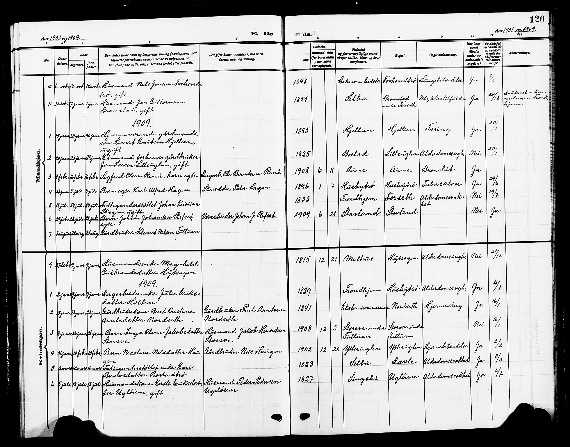 Ministerialprotokoller, klokkerbøker og fødselsregistre - Sør-Trøndelag, SAT/A-1456/618/L0453: Klokkerbok nr. 618C04, 1907-1925, s. 120