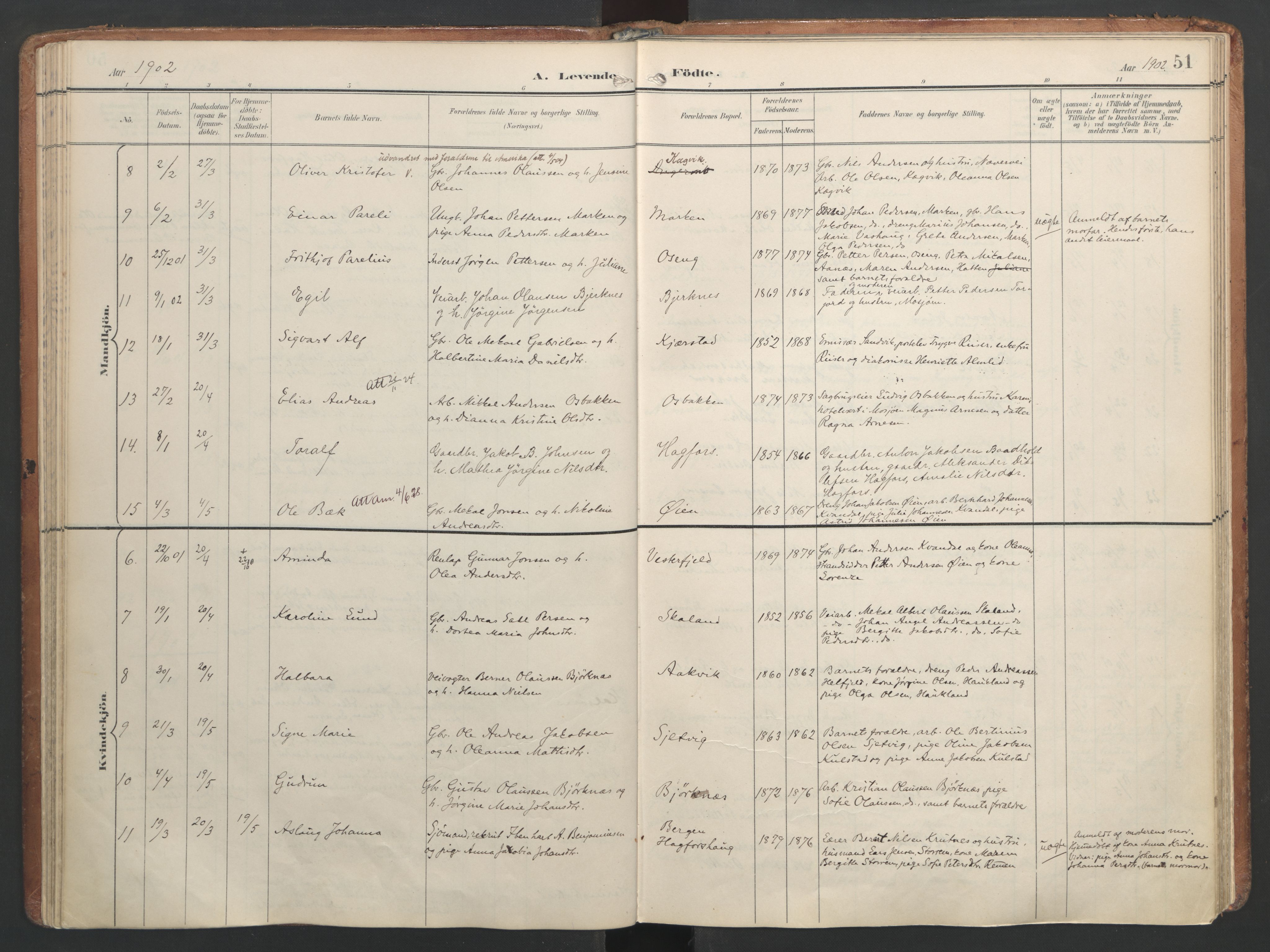 Ministerialprotokoller, klokkerbøker og fødselsregistre - Nordland, AV/SAT-A-1459/820/L0297: Ministerialbok nr. 820A18, 1897-1917, s. 51
