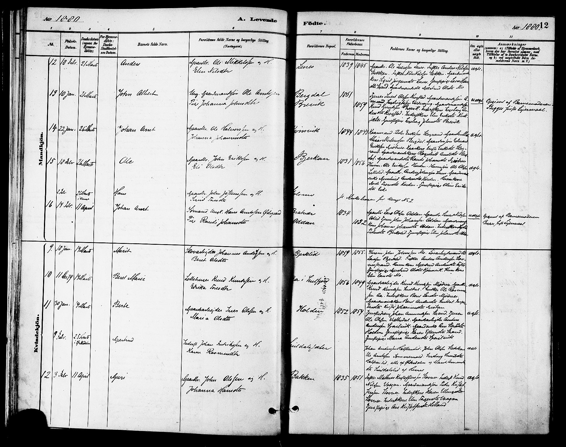 Ministerialprotokoller, klokkerbøker og fødselsregistre - Sør-Trøndelag, SAT/A-1456/630/L0496: Ministerialbok nr. 630A09, 1879-1895, s. 12
