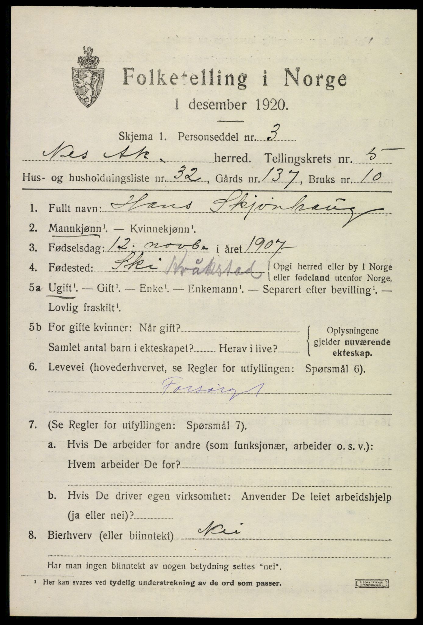 SAO, Folketelling 1920 for 0236 Nes herred, 1920, s. 6846