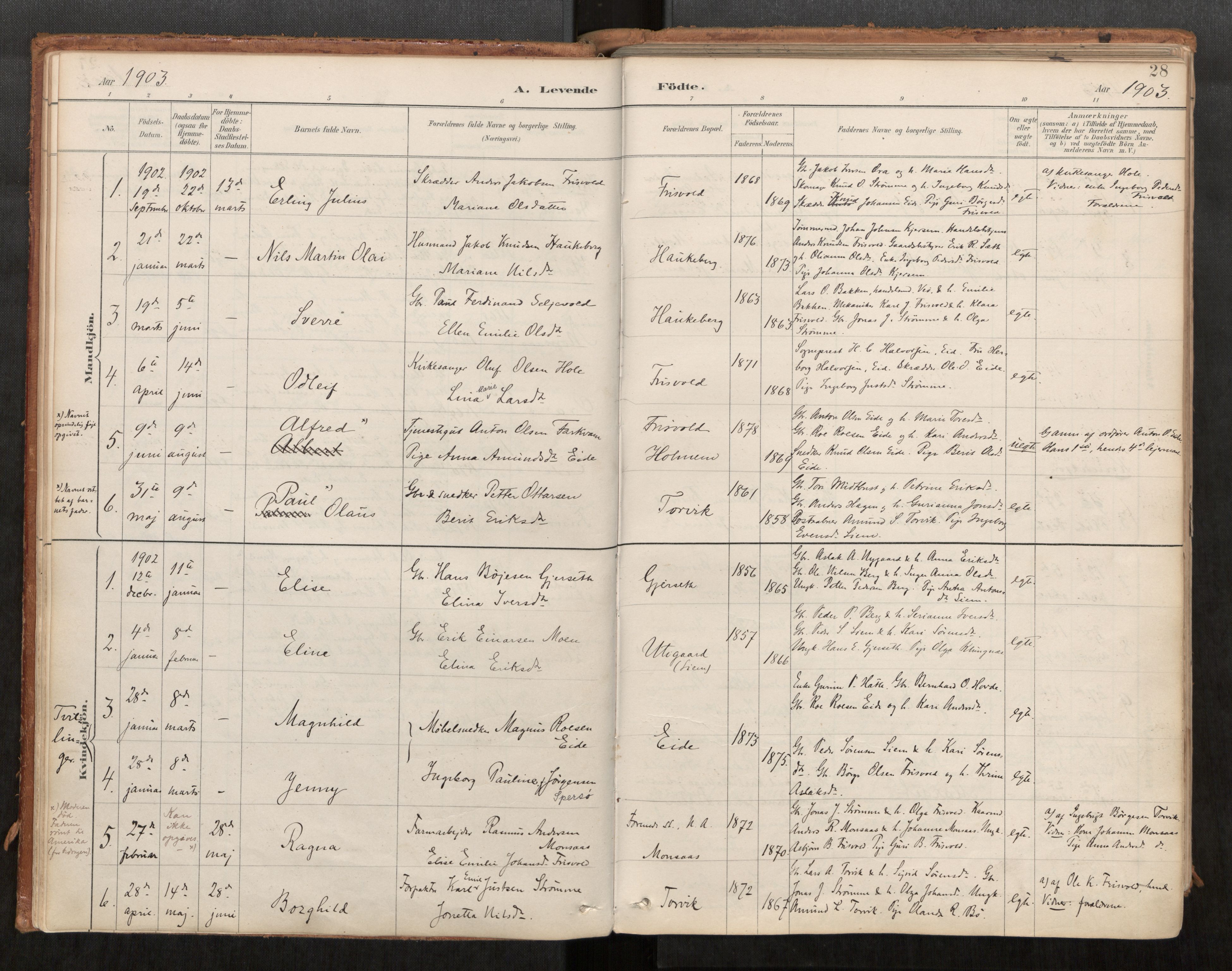 Ministerialprotokoller, klokkerbøker og fødselsregistre - Møre og Romsdal, AV/SAT-A-1454/542/L0553: Ministerialbok nr. 542A03, 1885-1925, s. 28