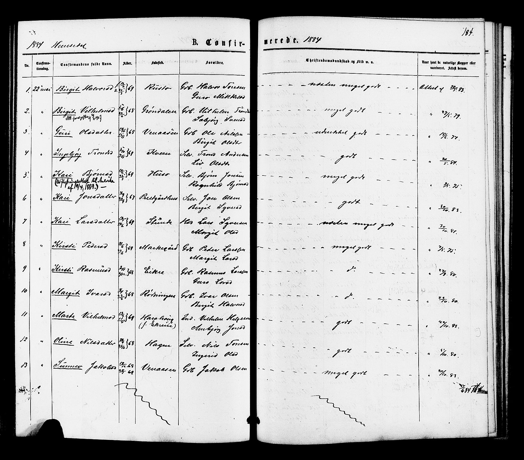 Gol kirkebøker, SAKO/A-226/F/Fa/L0004: Ministerialbok nr. I 4, 1876-1886, s. 184