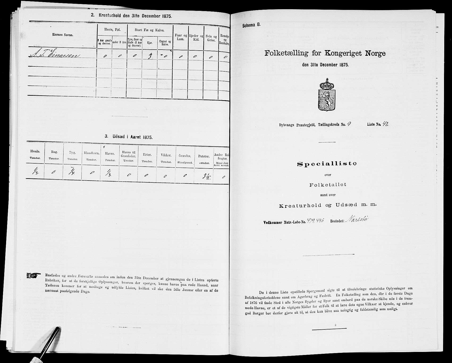 SAK, Folketelling 1875 for 0915P Dypvåg prestegjeld, 1875, s. 1194