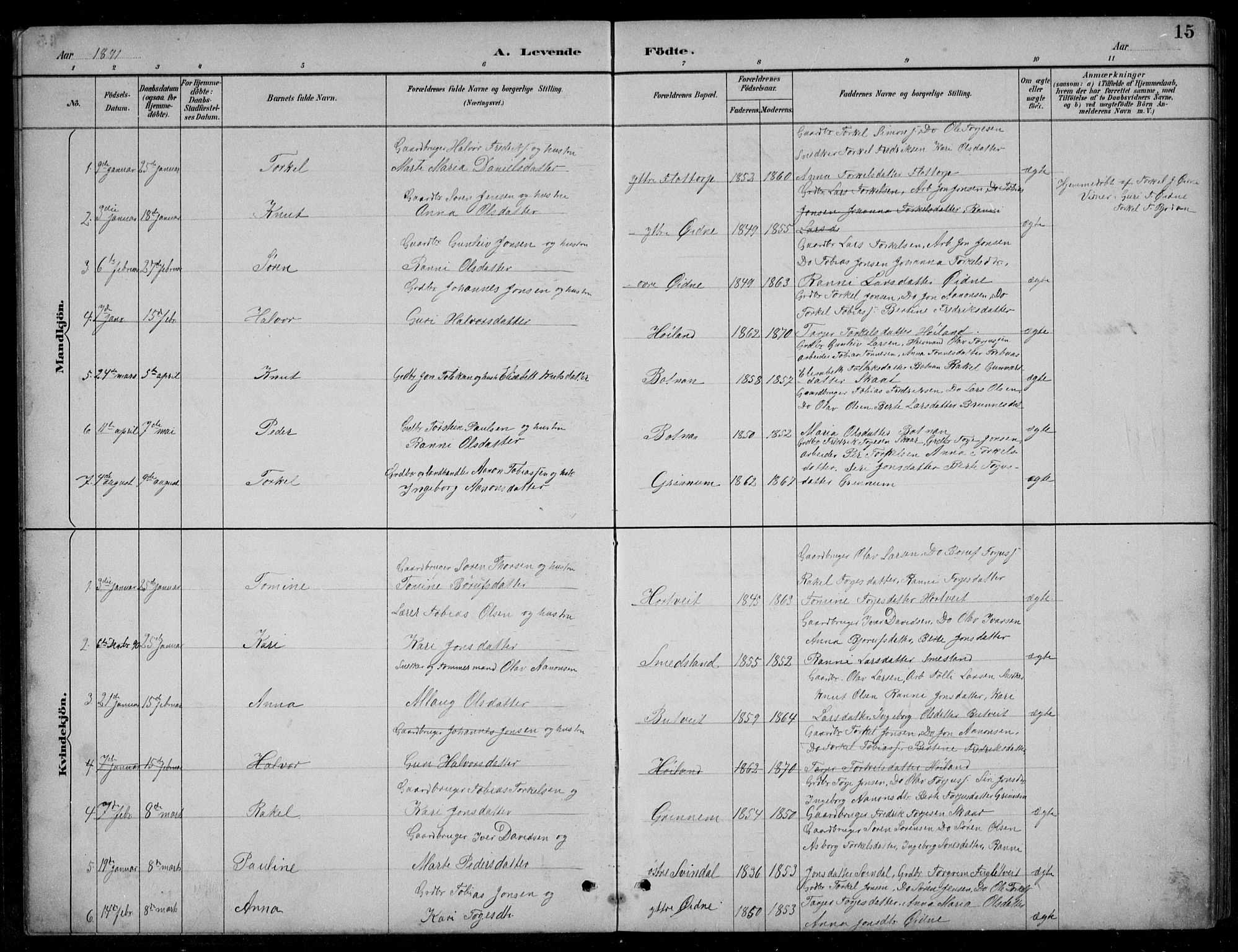 Bjelland sokneprestkontor, AV/SAK-1111-0005/F/Fb/Fbc/L0003: Klokkerbok nr. B 3, 1887-1924, s. 15